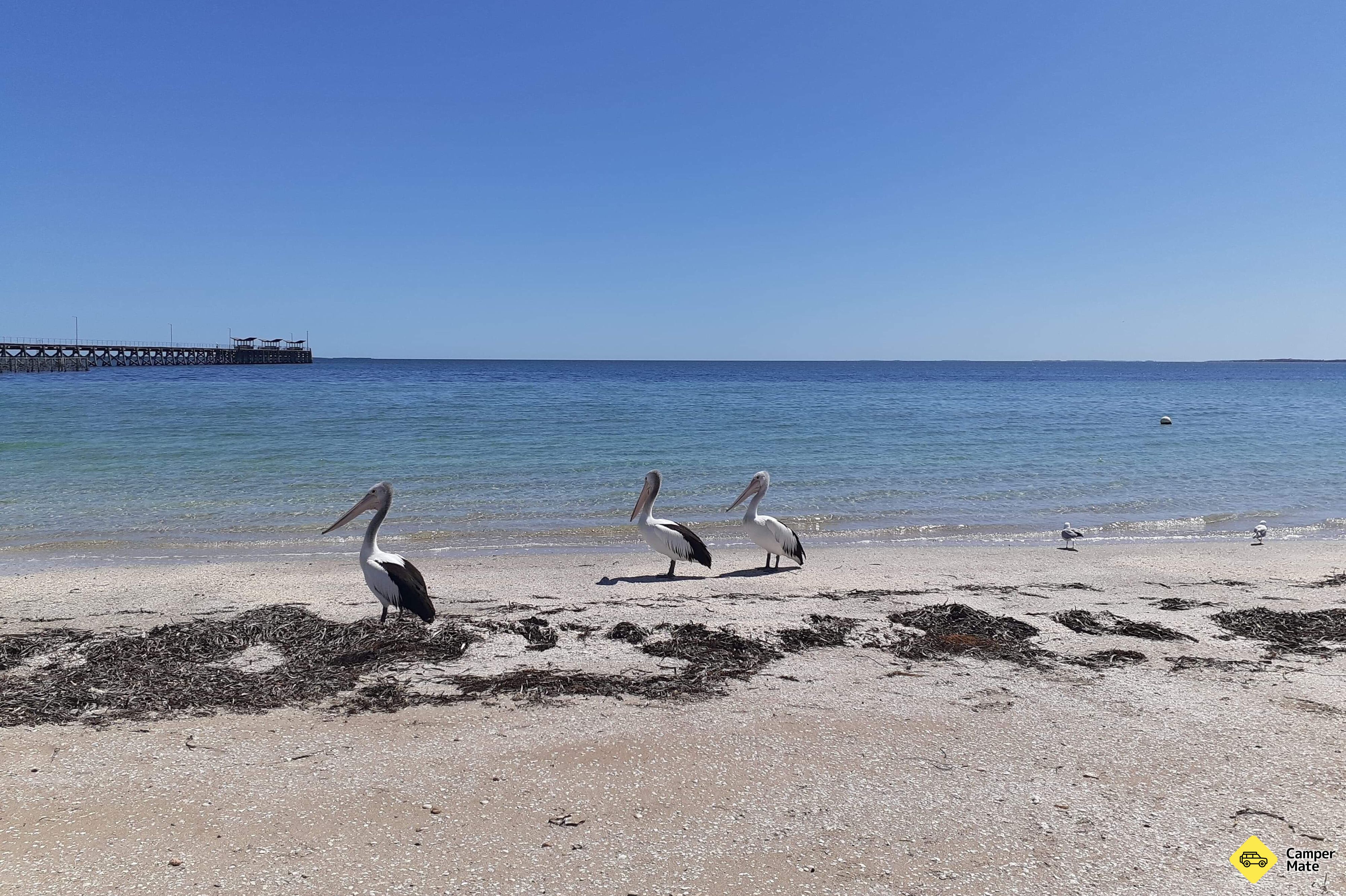Smoky Bay Caravan Park