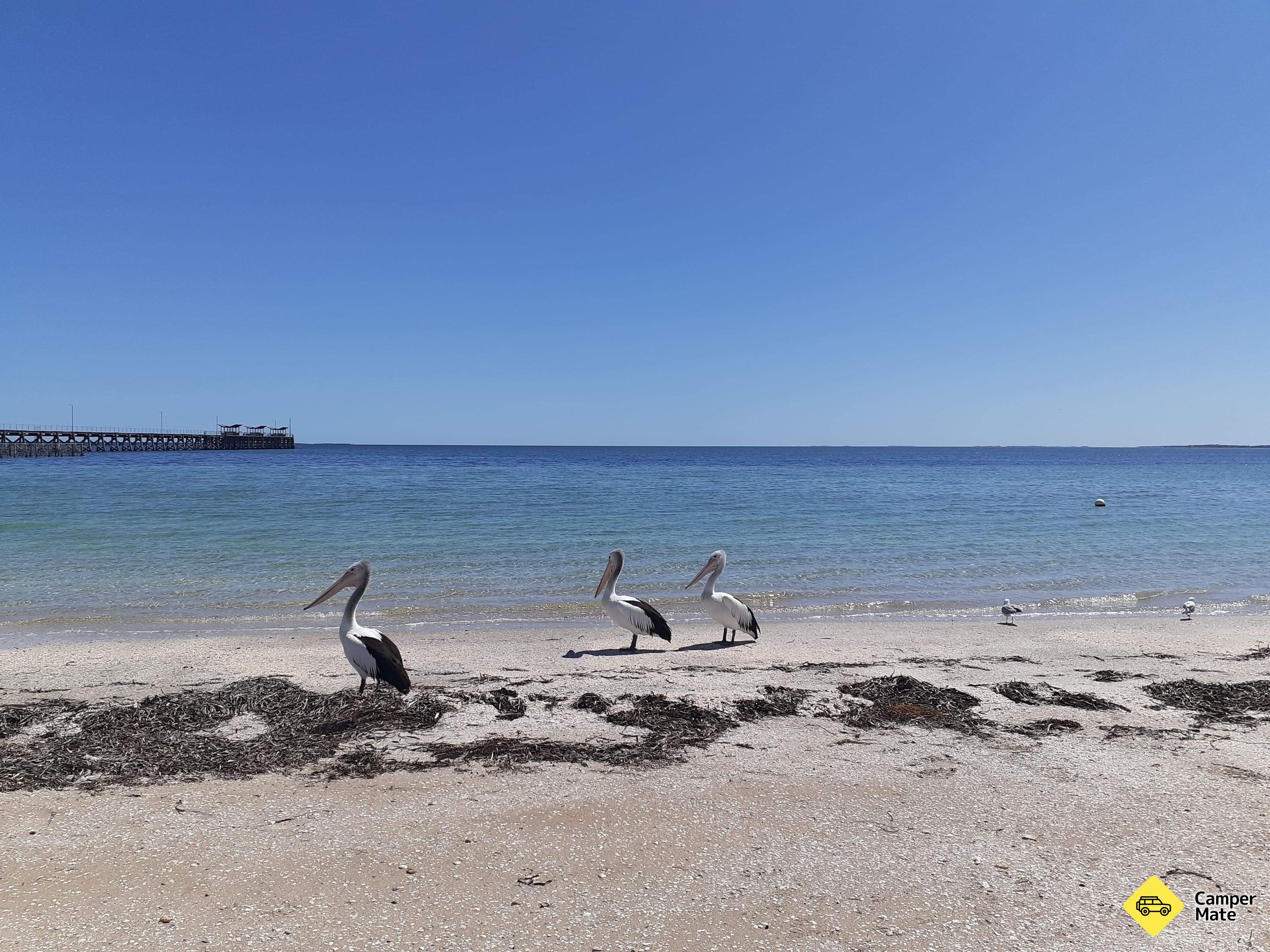 Smoky Bay Caravan Park
