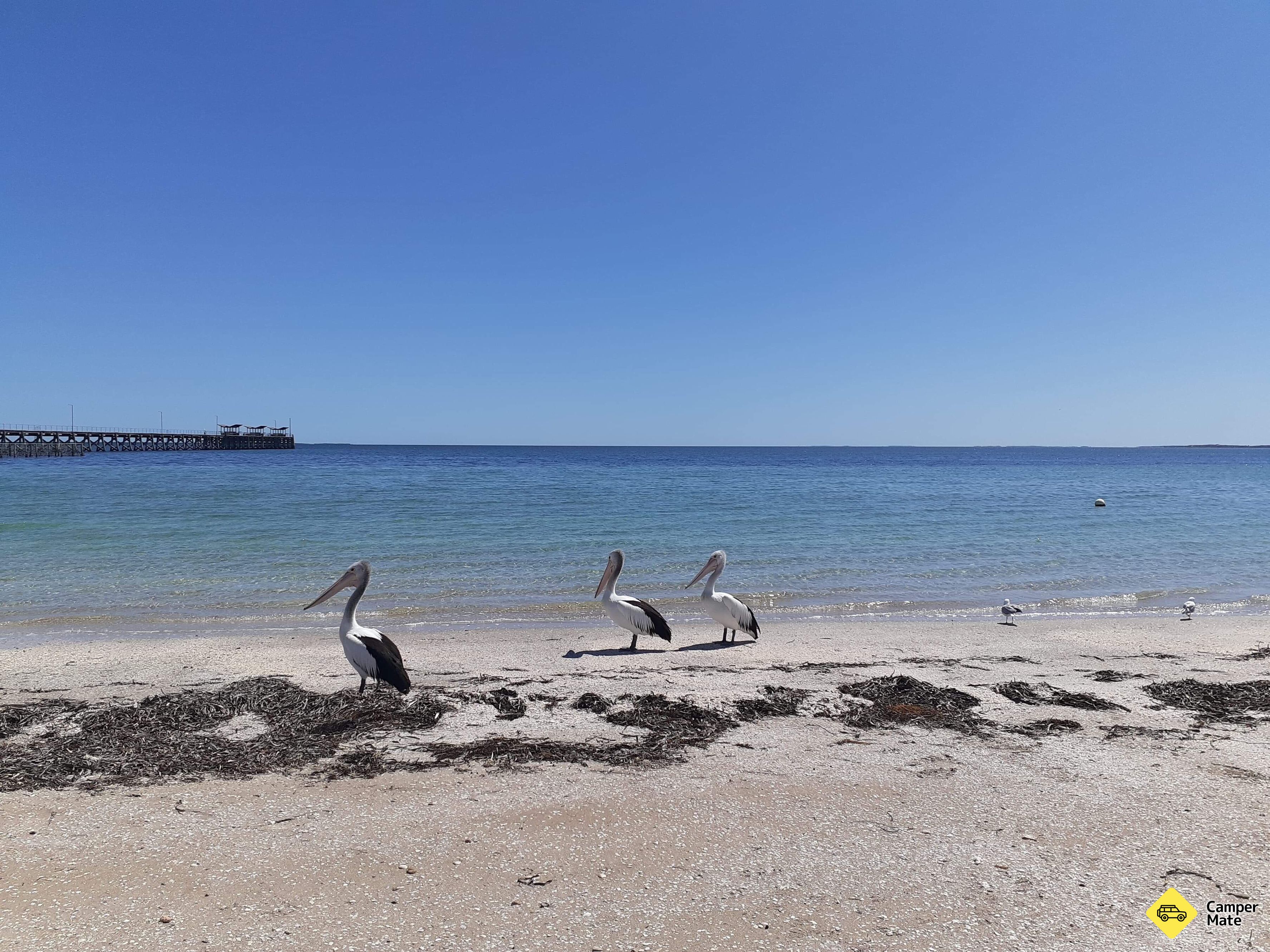 Smoky Bay Caravan Park
