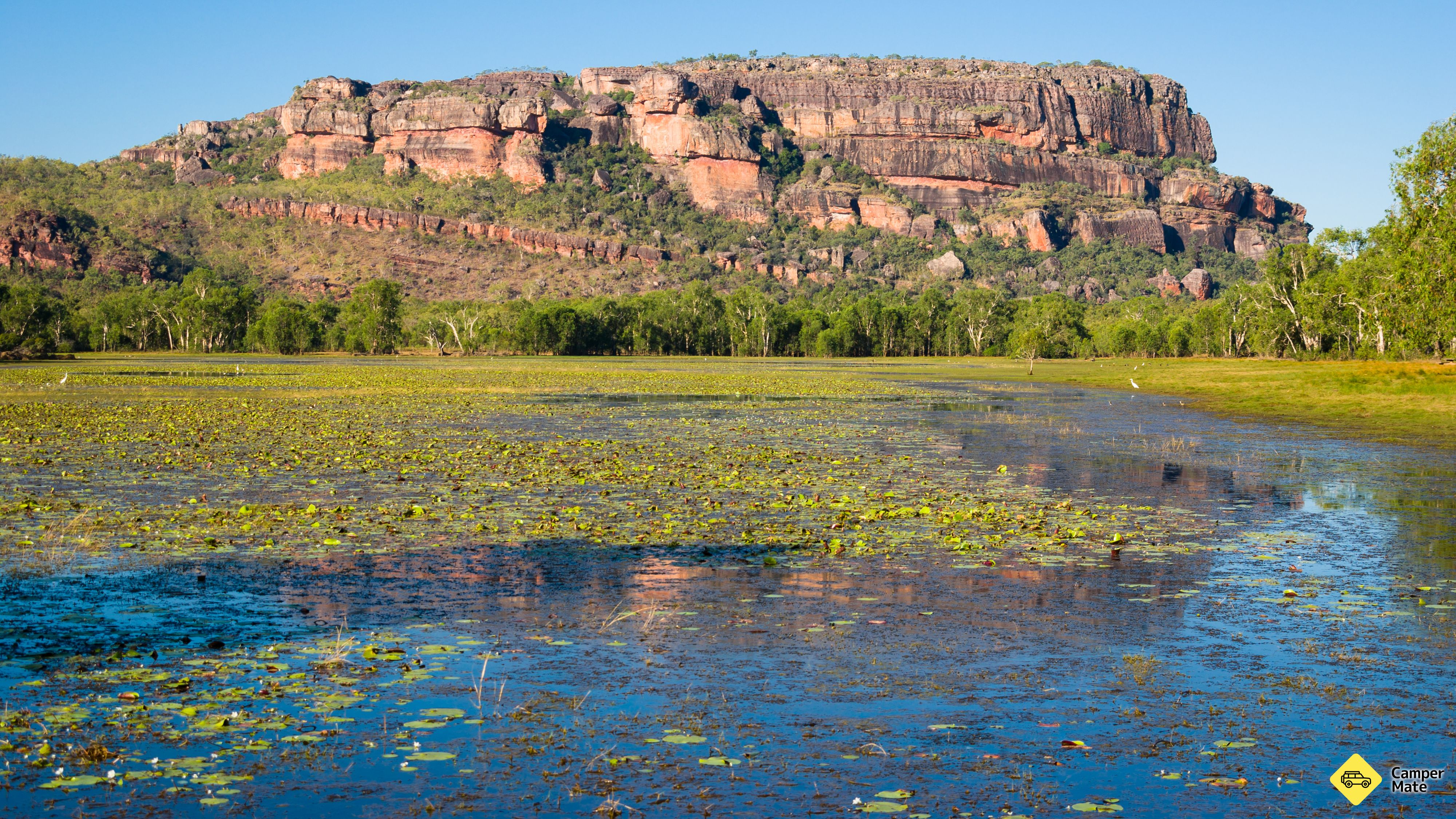 رحلة Anbangbang Billabong