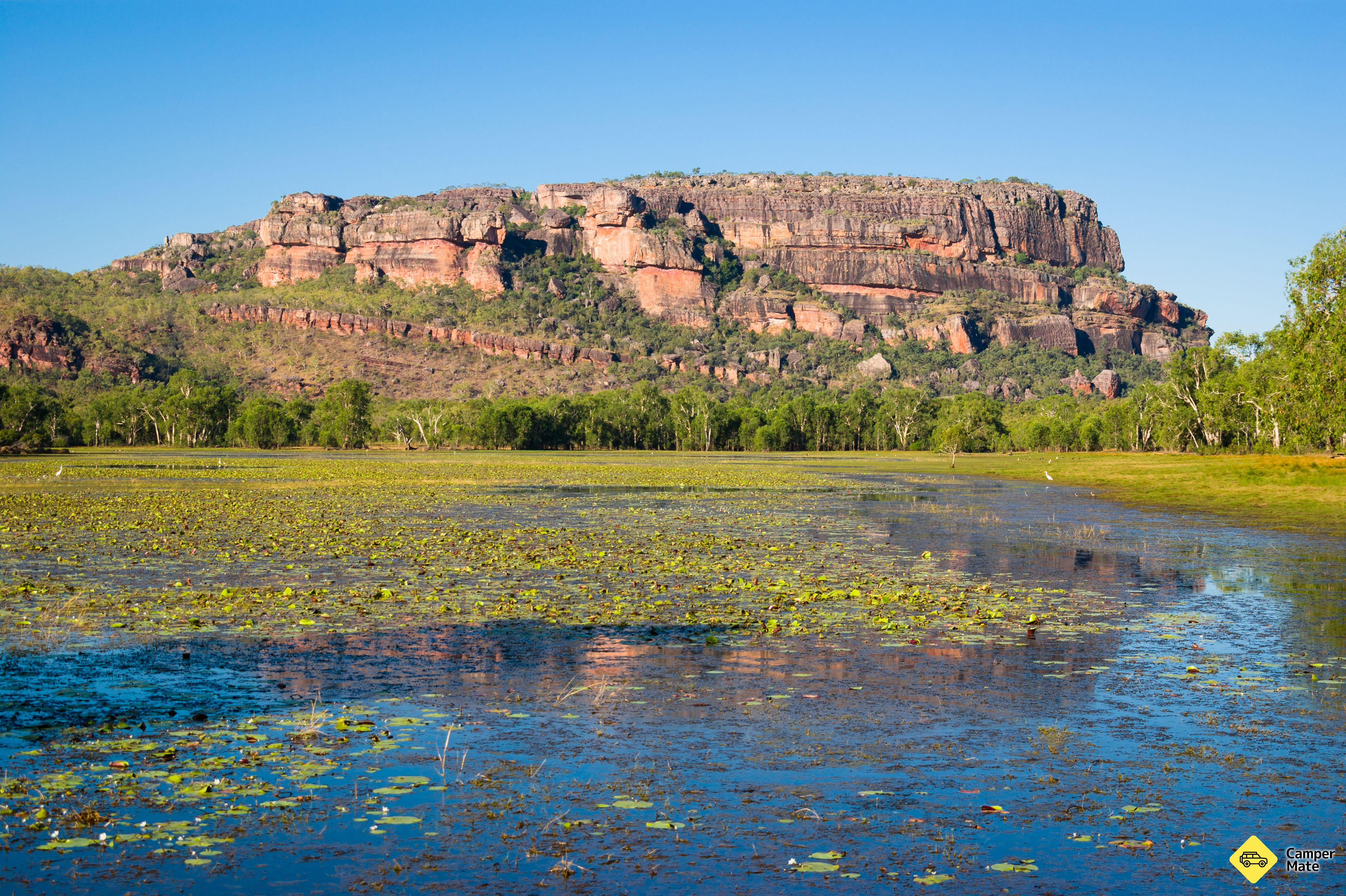 رحلة Anbangbang Billabong
