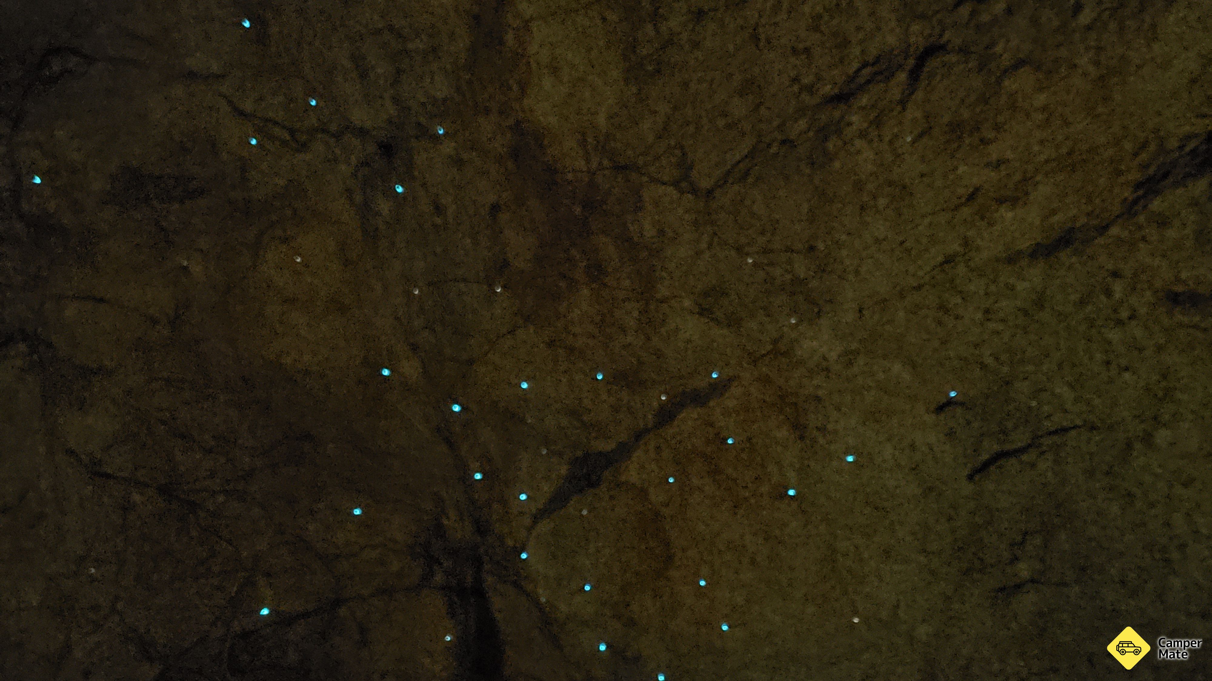 Ubytování Anchorage Bay Glow Worm Caves