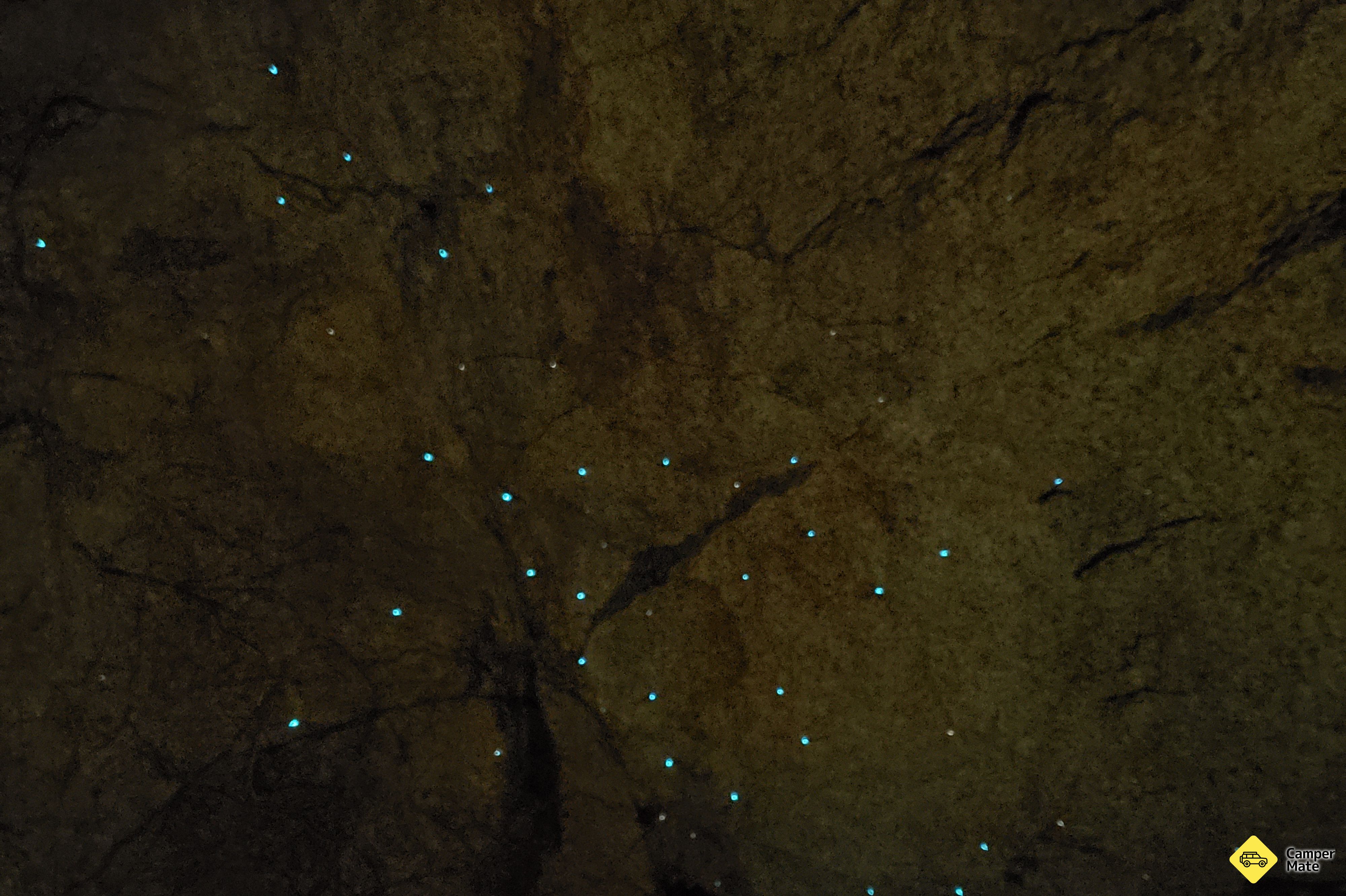 Ubytování Anchorage Bay Glow Worm Caves