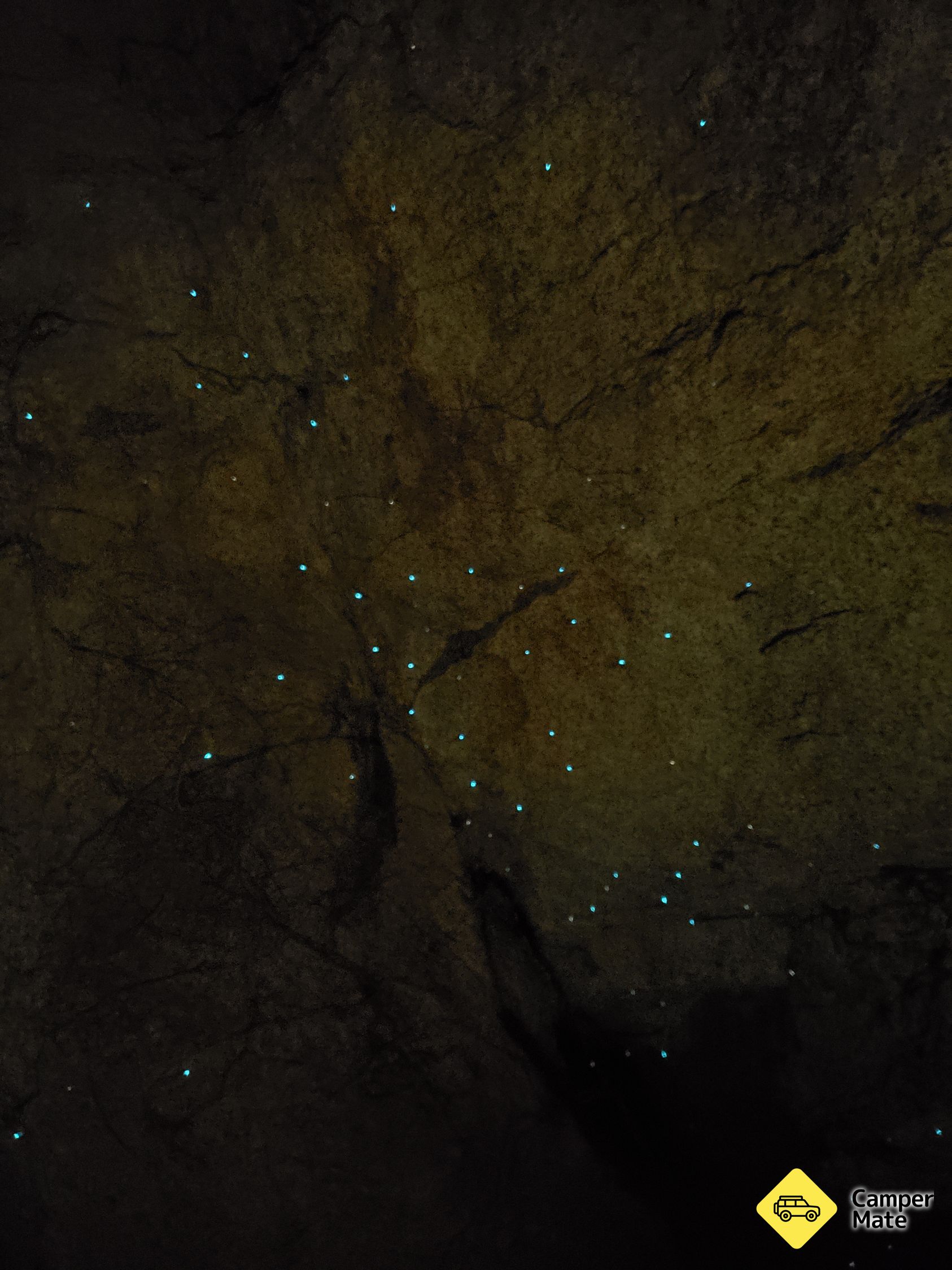 Anchorage Bay Glow Worm Caves 근처 오락거리