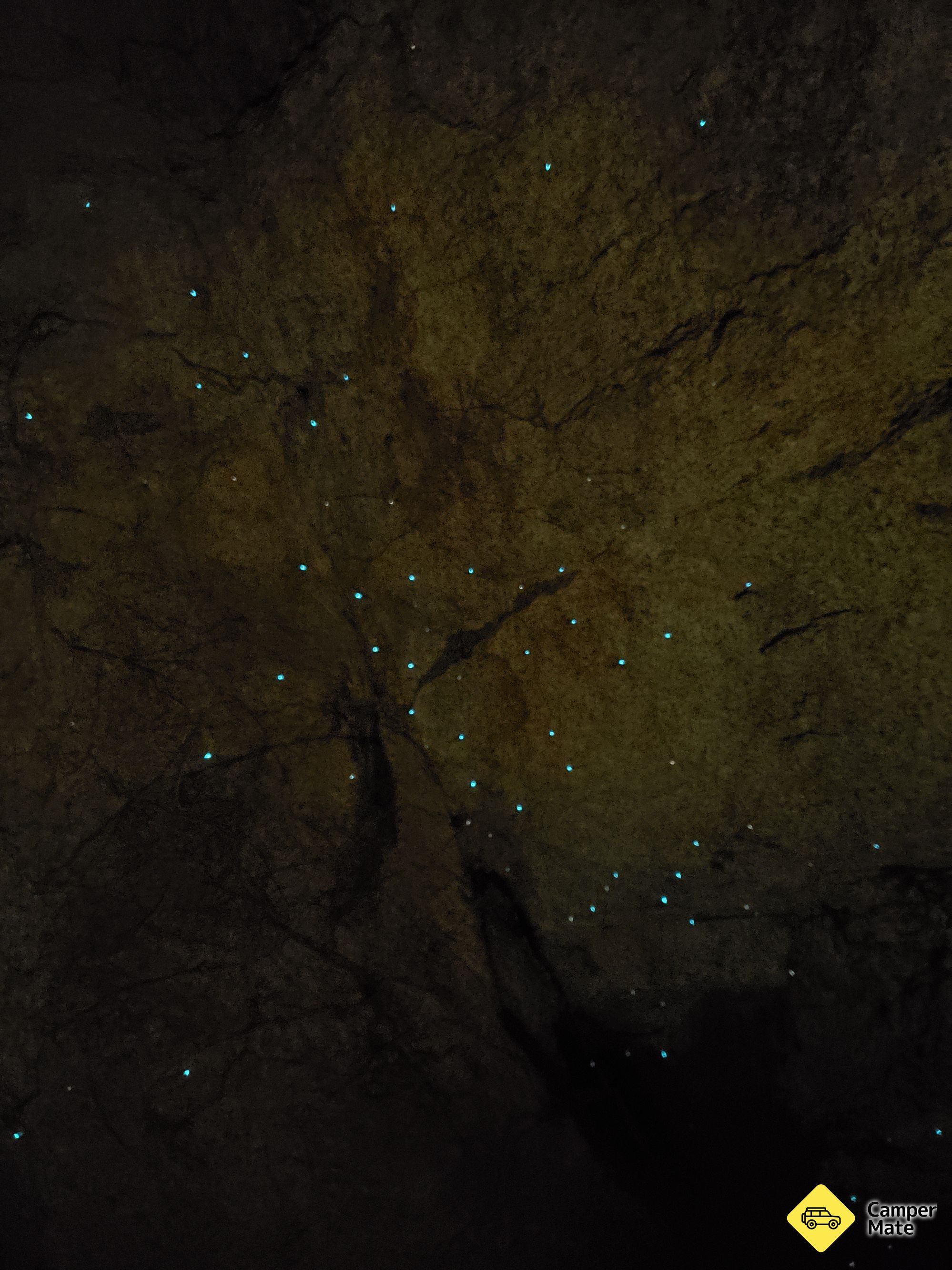 Hôtels près de Anchorage Bay Glow Worm Caves