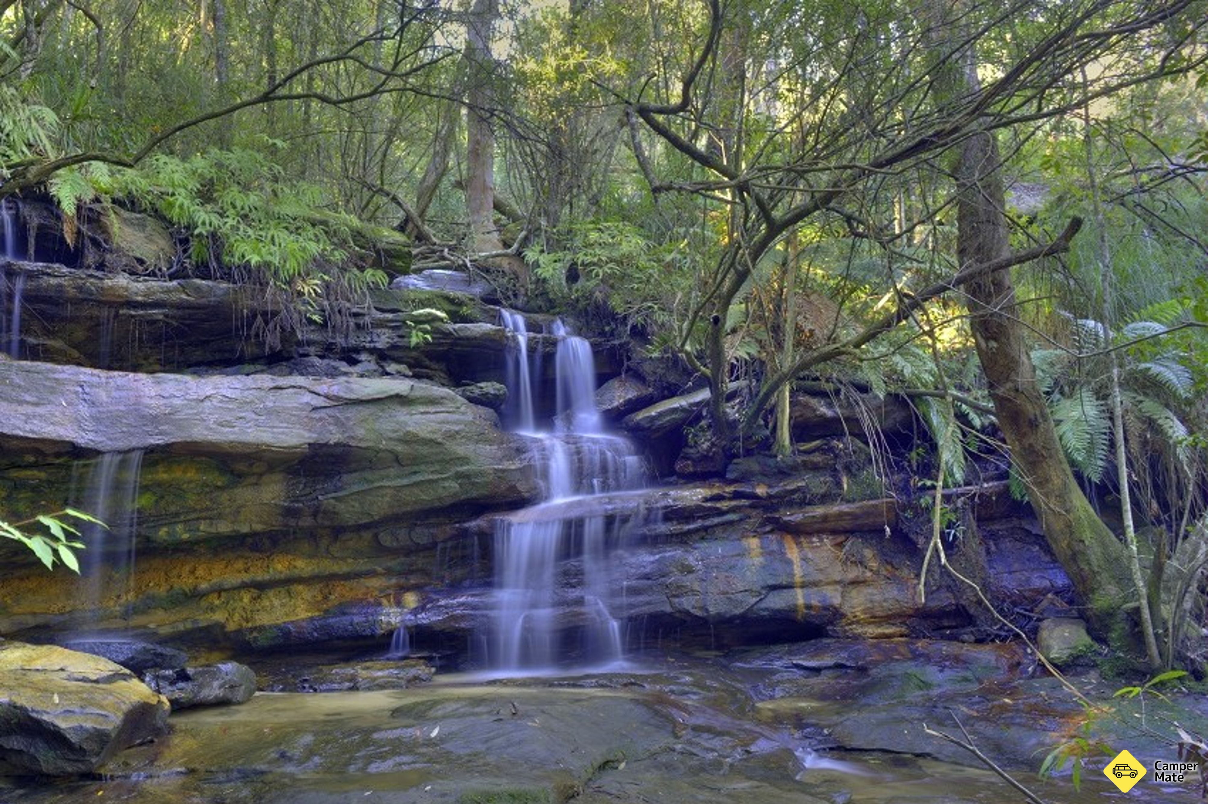Somersby Falls Walking Track - Image 2