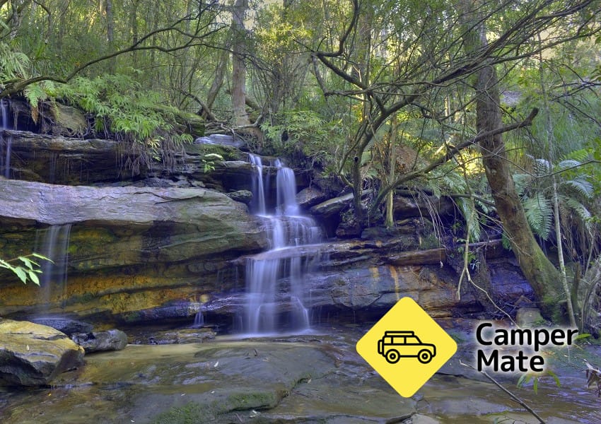 Somersby Falls Walking Track - Image 2