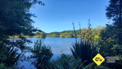 Lake Mangamahoe and Redwood Glen Lawn