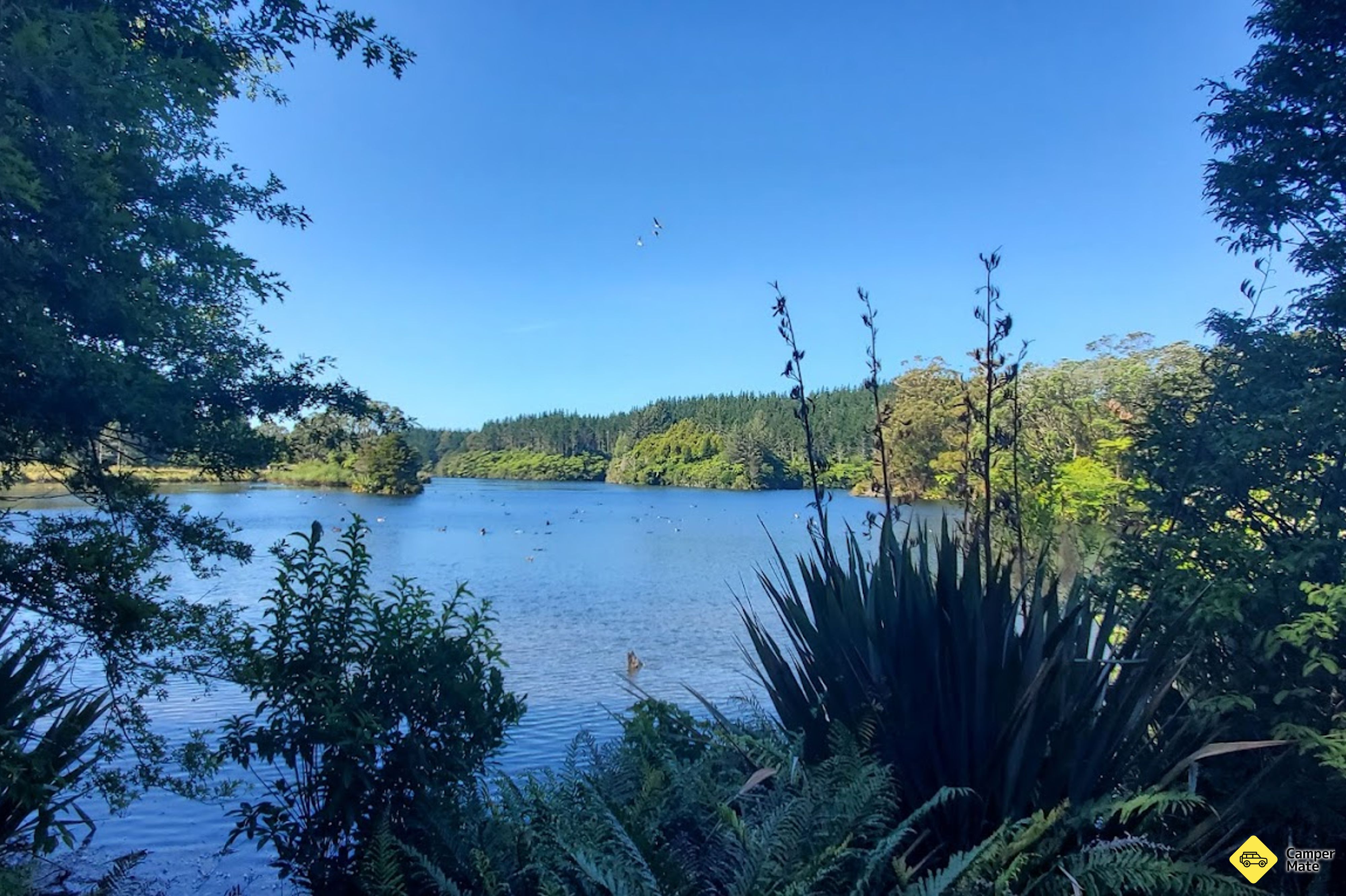 Lake Mangamahoe and Redwood Glen Lawn