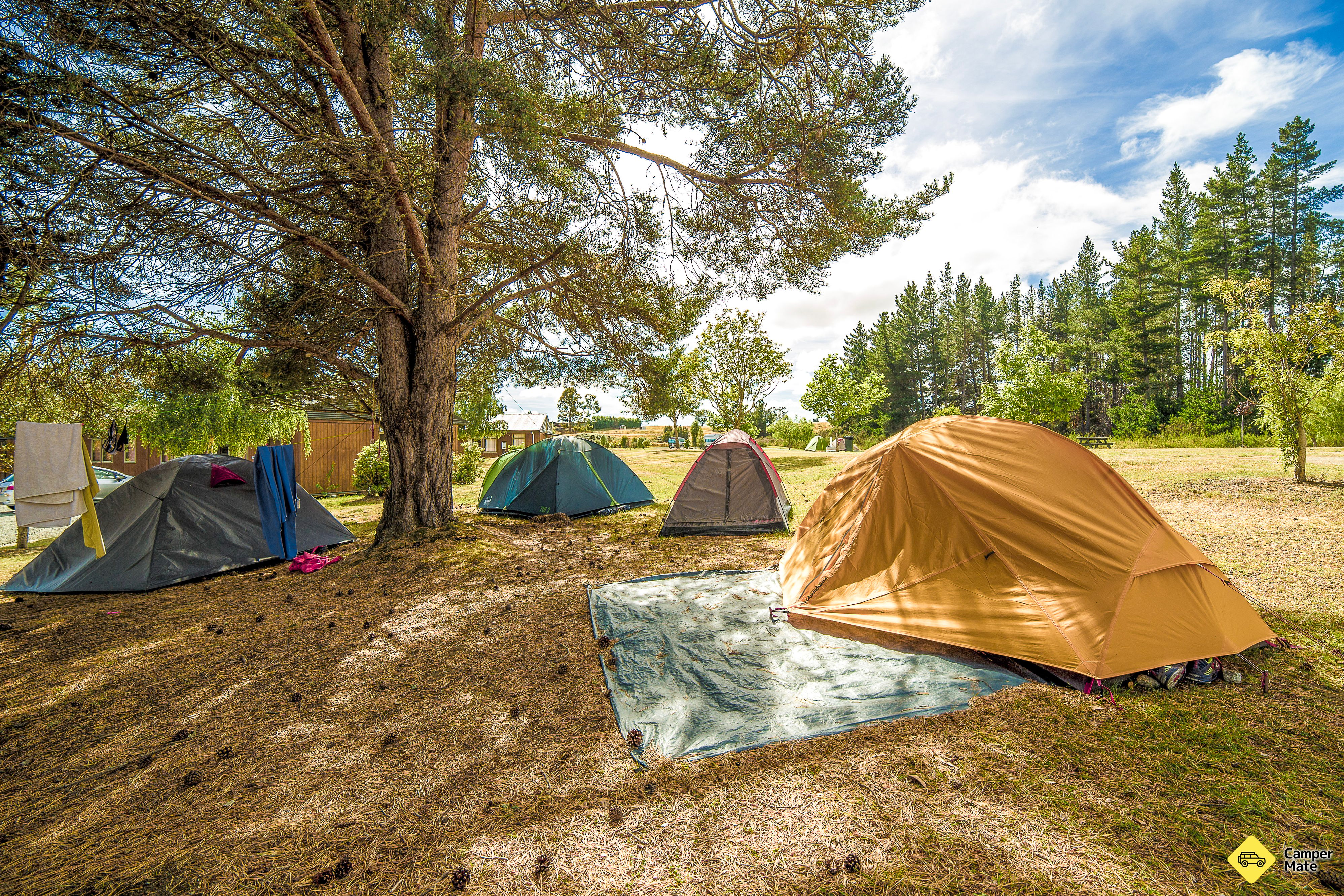 Te Anau Lakeview Holiday Park and Motels - Image 3