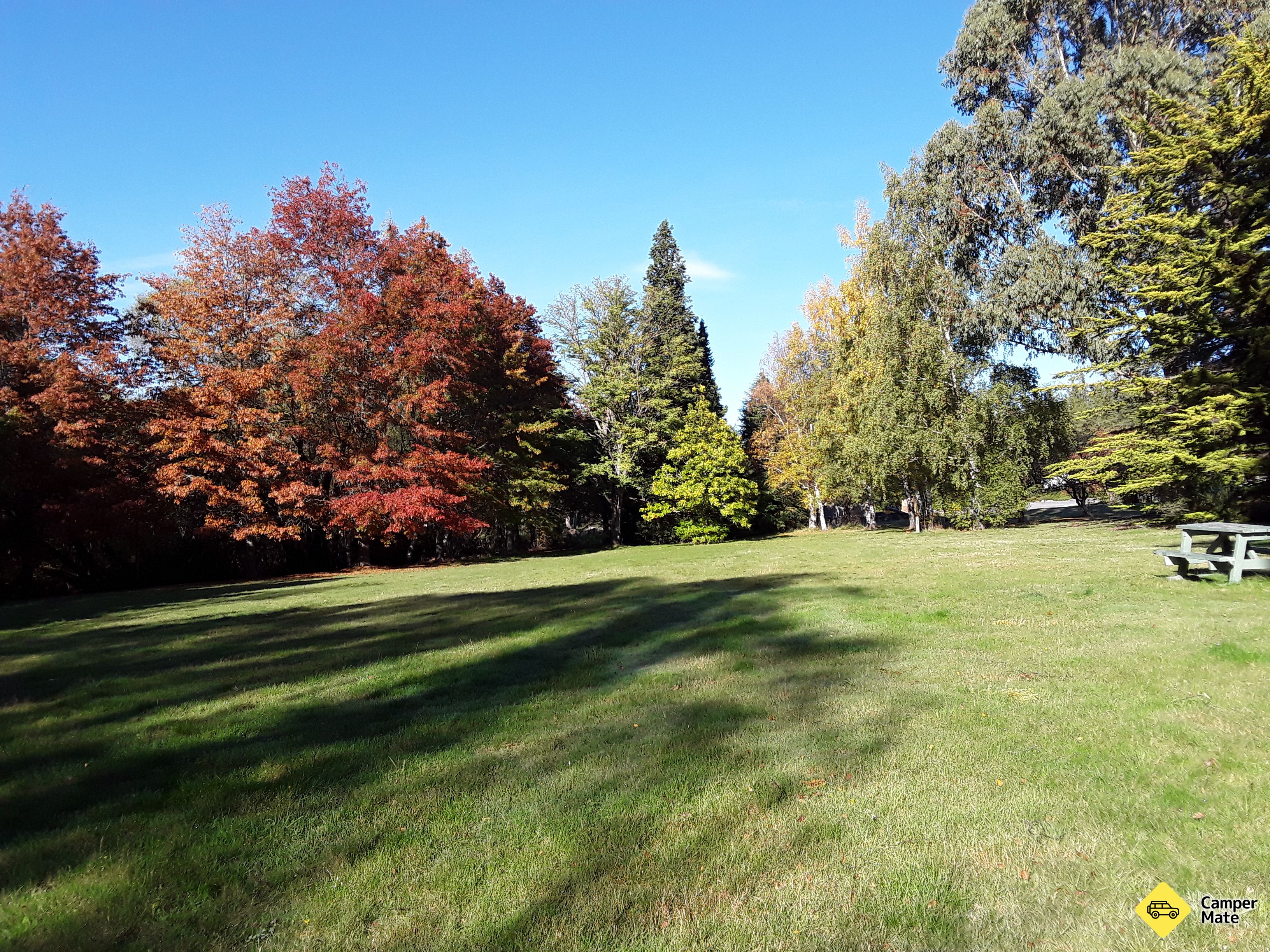 Alpine Holiday Apartments & Campground