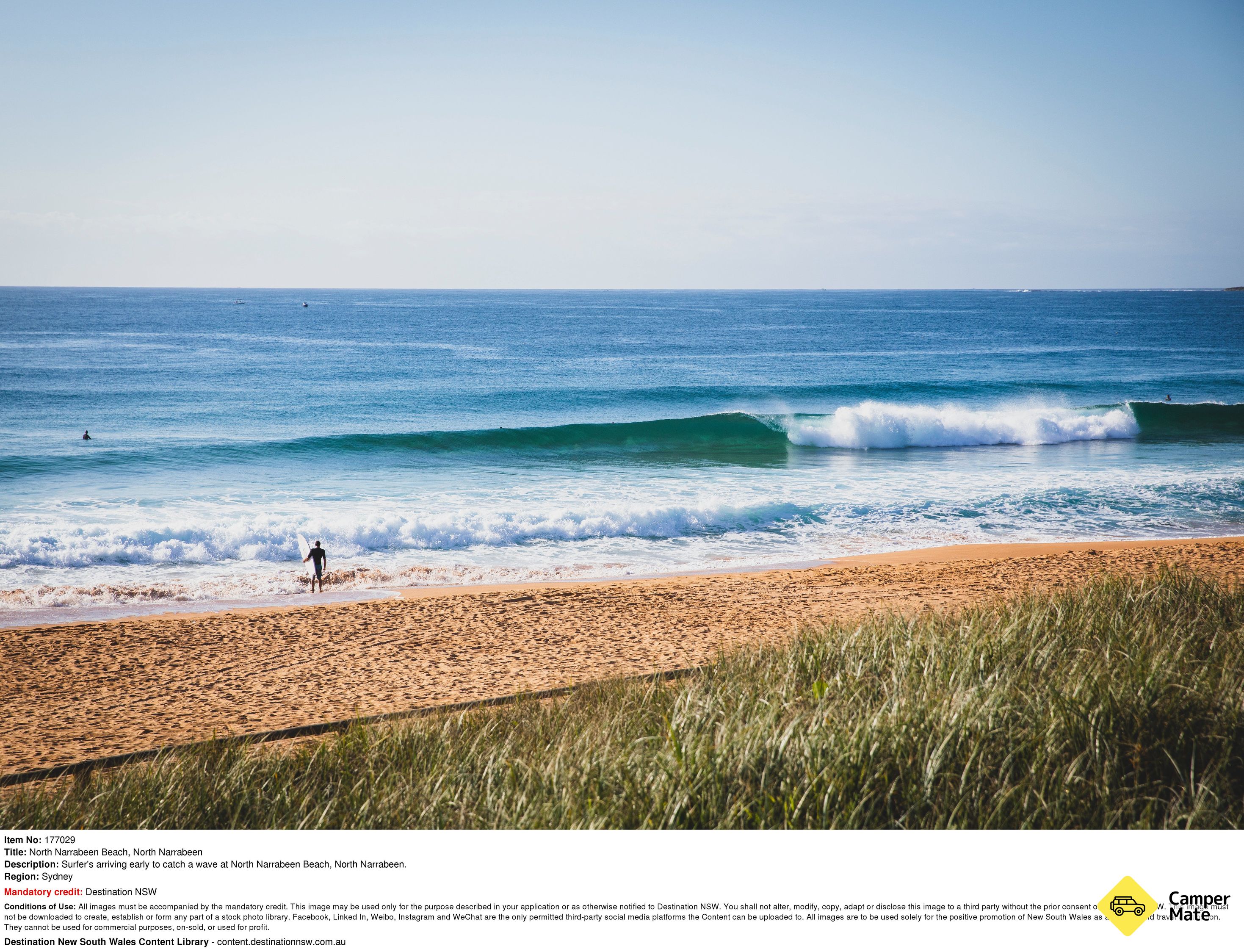Om Narrabeen Beach