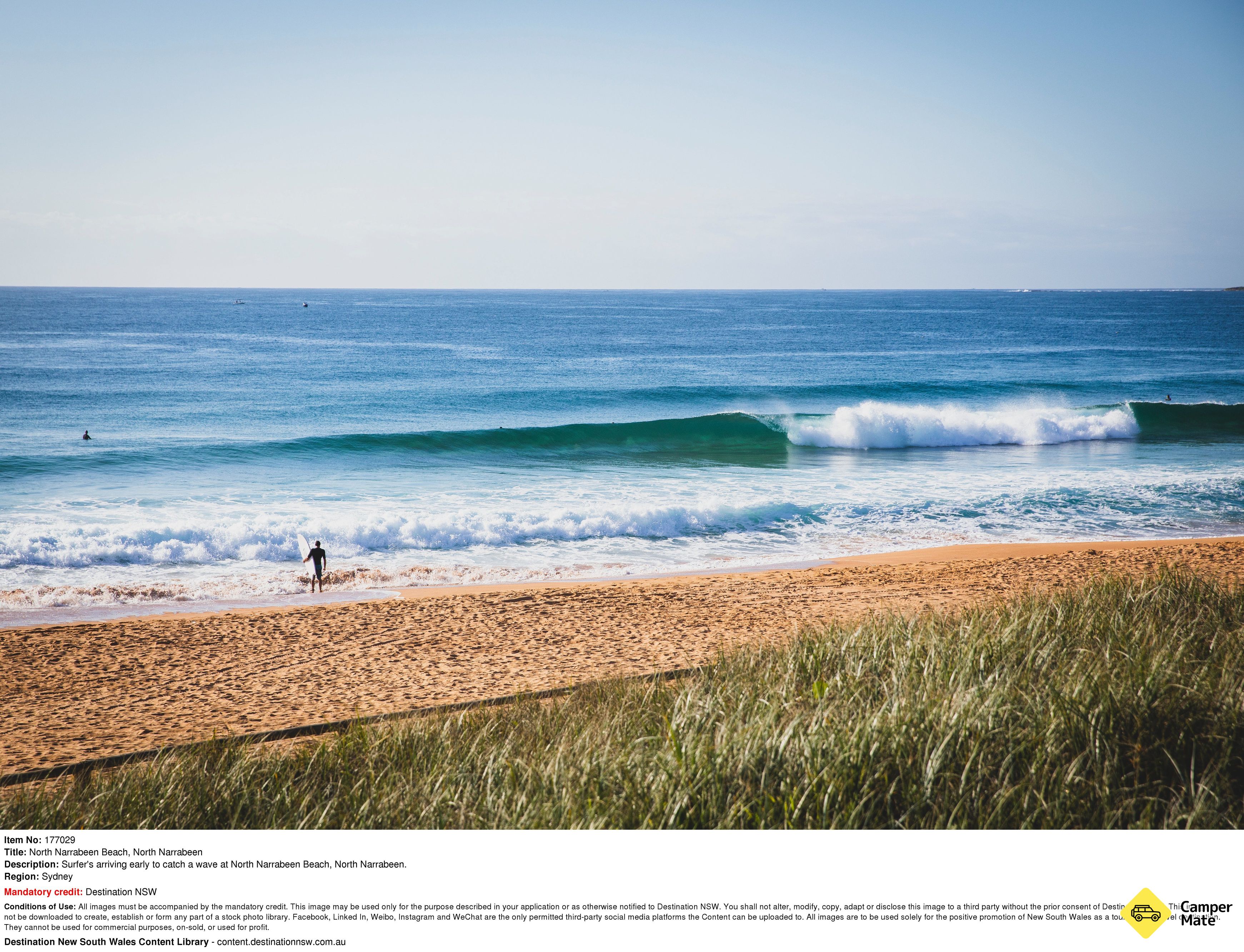 Narrabeen Beach