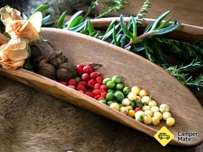 Bangalow Bush Tucker Tour
