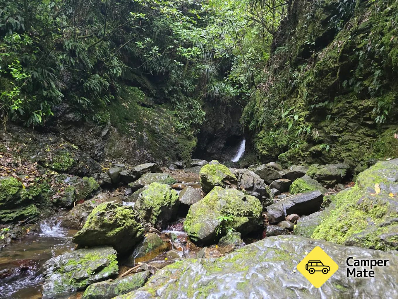 Dry Creek Waterfall Track