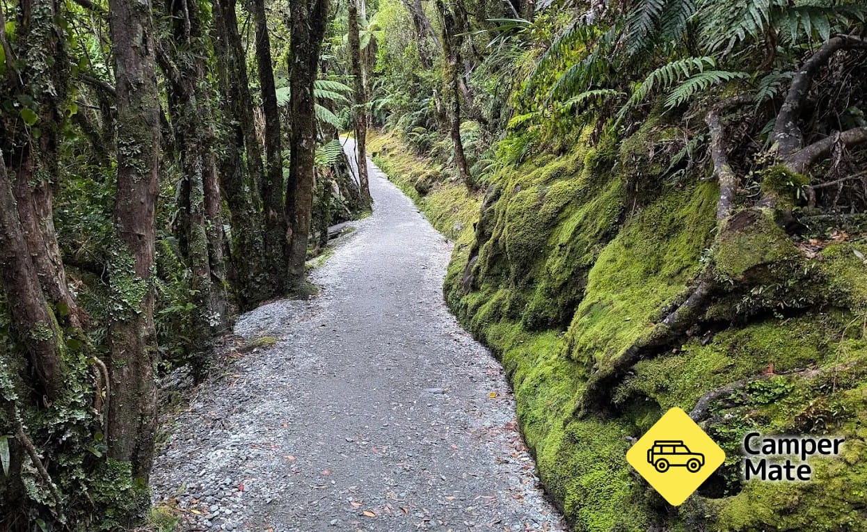 Franz Josef Glacier Walk - Image 2