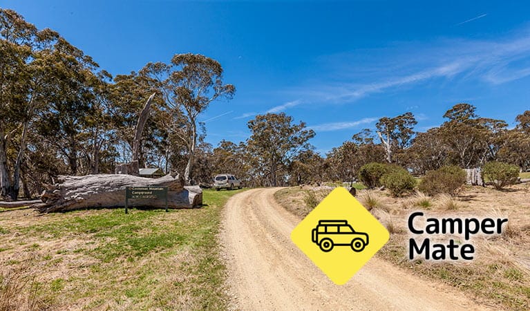 Cooleman Mountain Campground