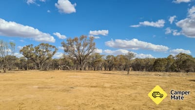 Newstead Creek Rest Area