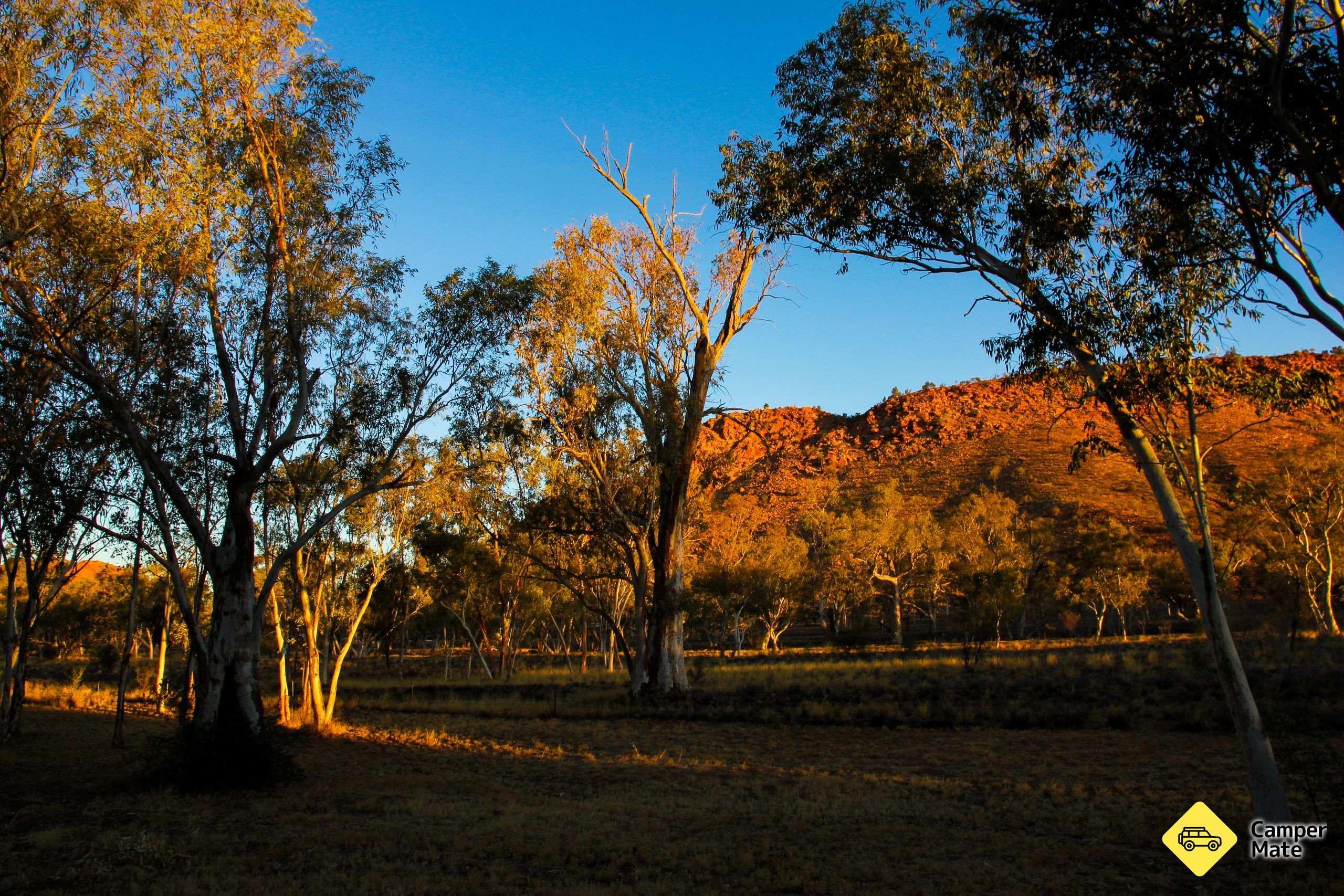Wanngardi Caravan Park - Image 2