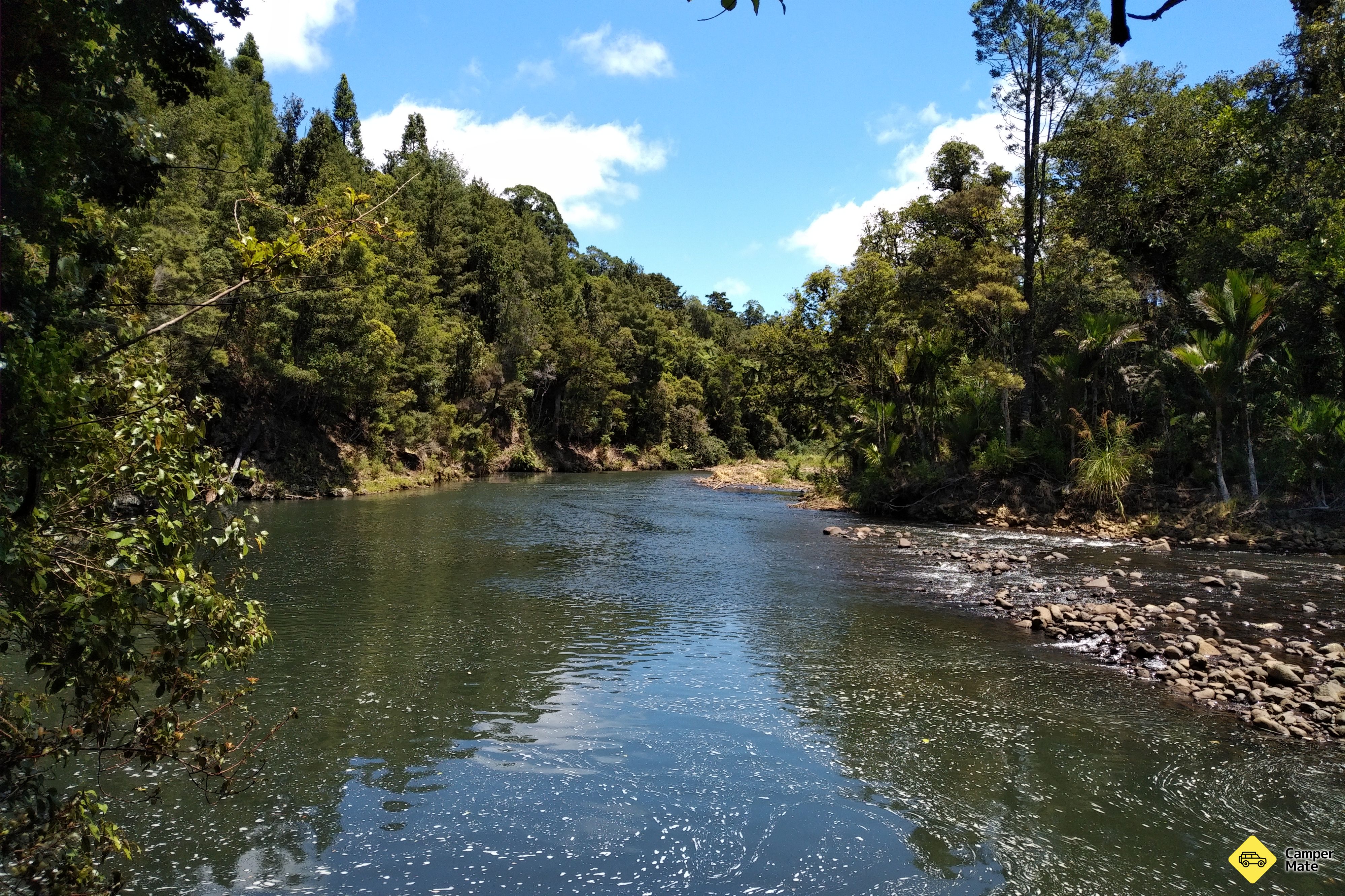 Waipoua Forest Nature Park - Image 3
