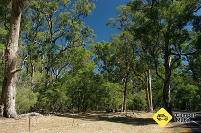 Maidens Tuart les