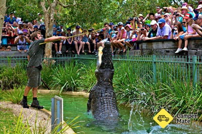 Parque de los reptiles de Australia