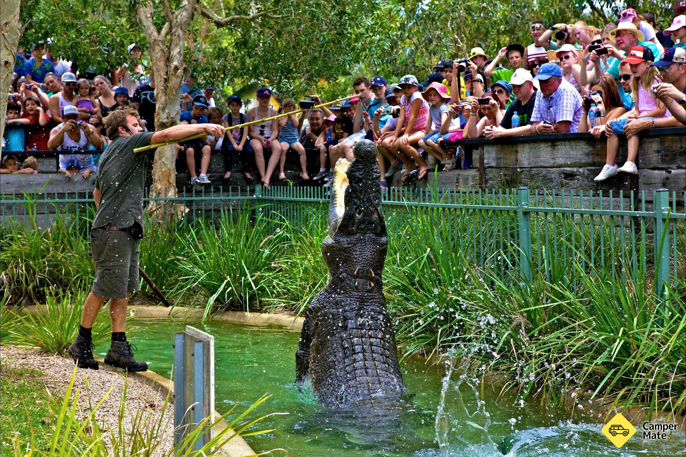 Australian Reptile Park