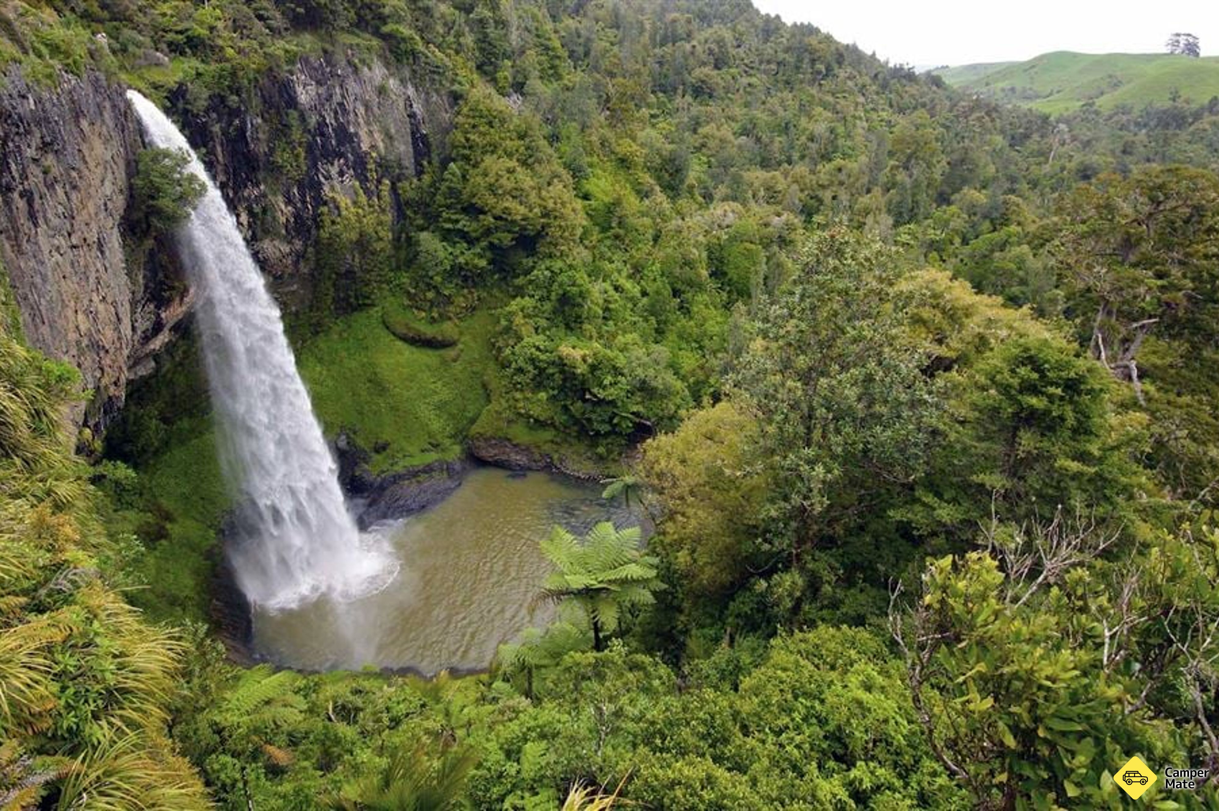 Waireinga / Bridal Veil Falls Walk - Image 2