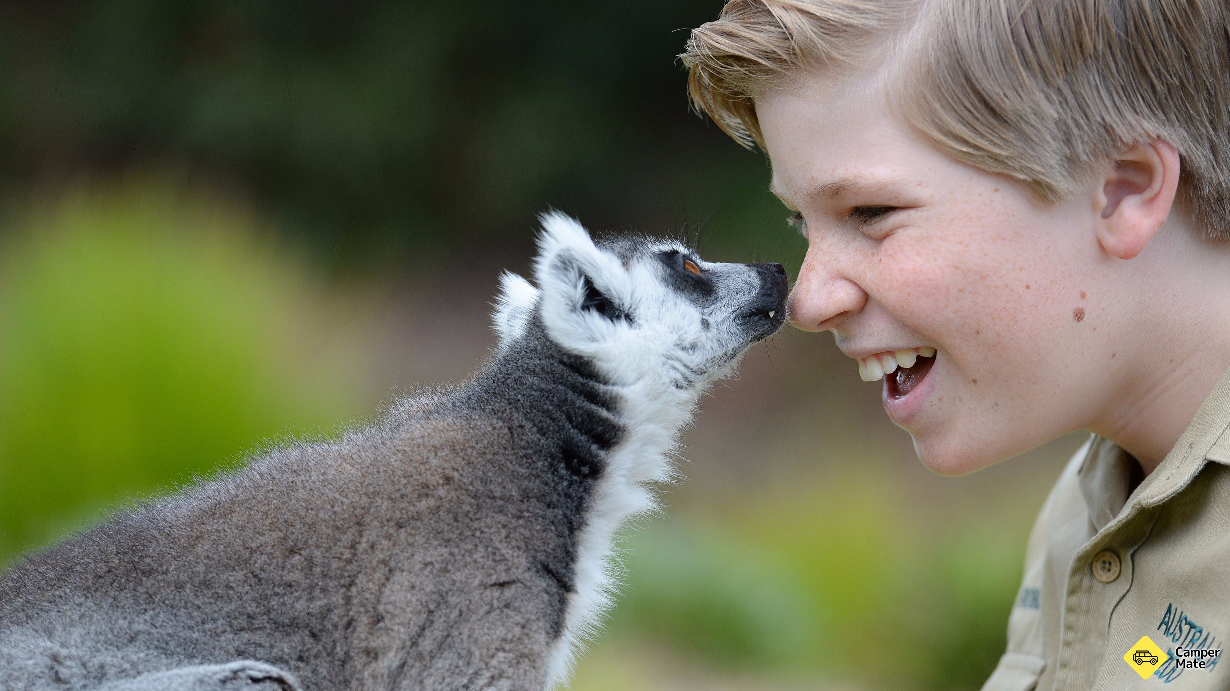 Zoo da Austrália