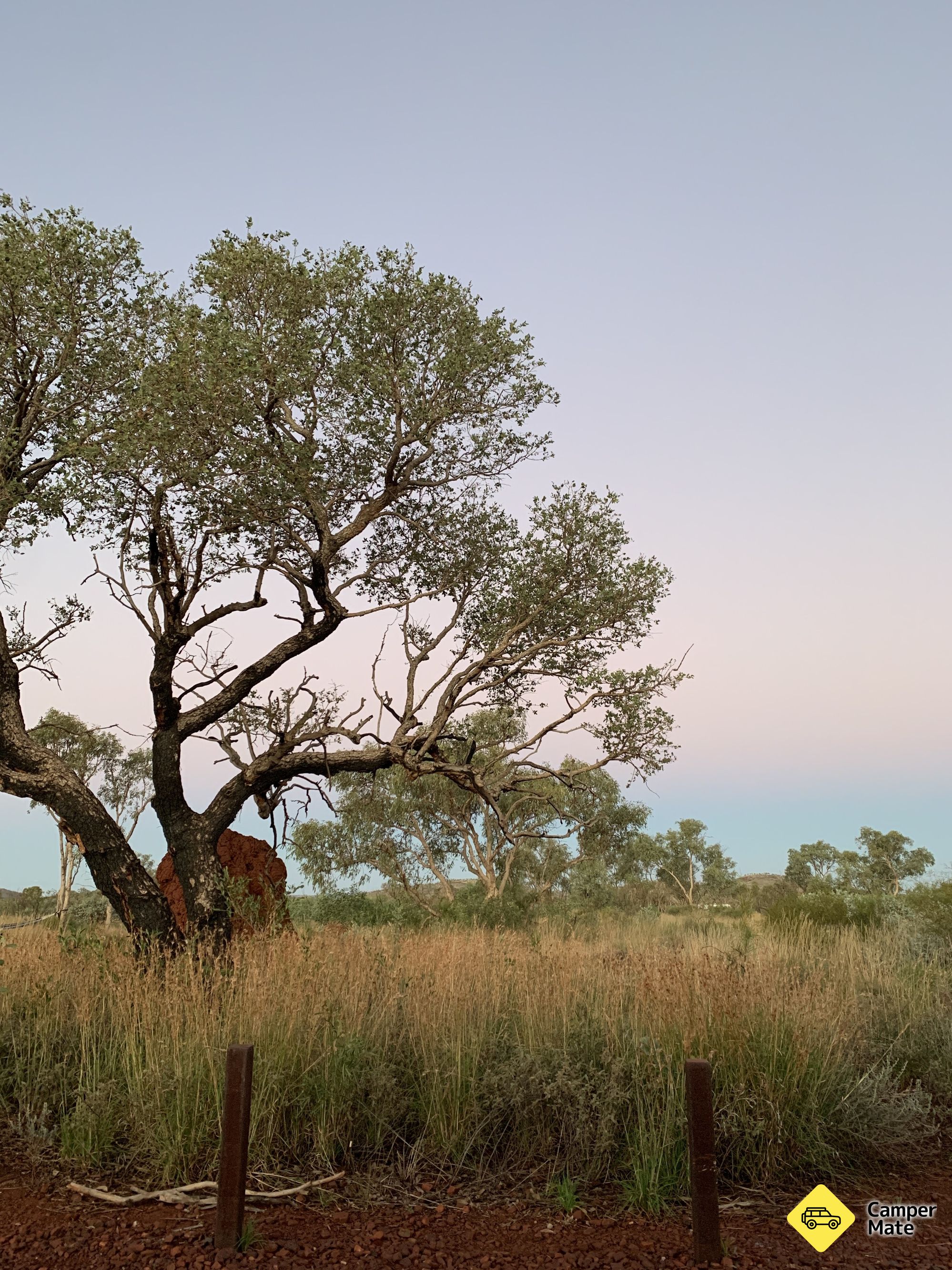 Le camping de Dales Gorge