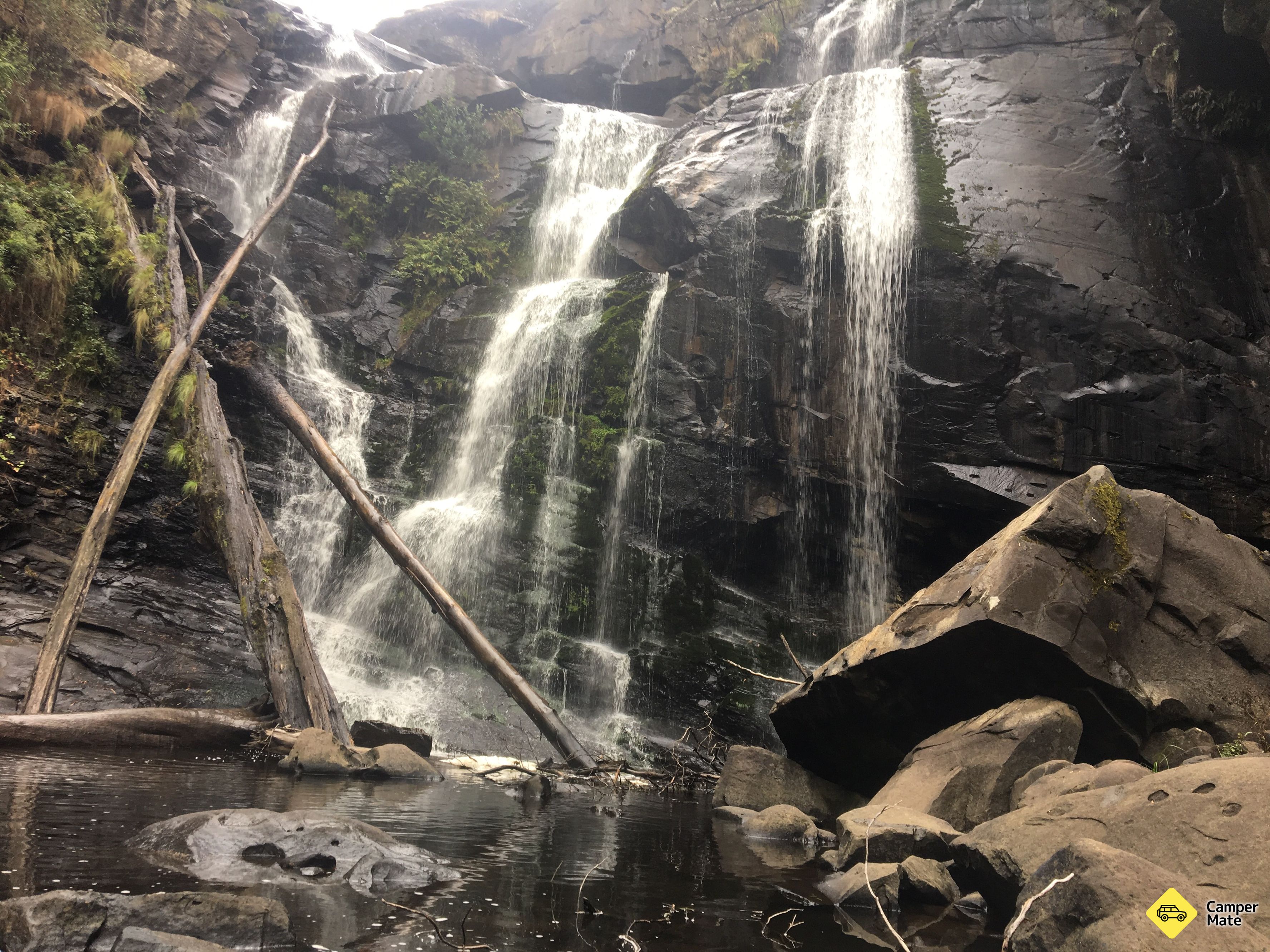 Stevenson Falls Camping Reserve, Great Otway State Park - Image 3