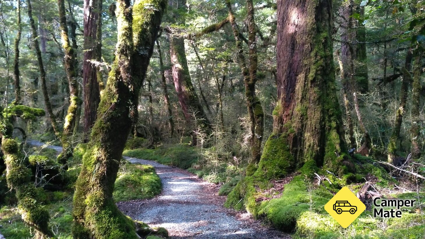 Lake Gunn Nature Walk - Image 2