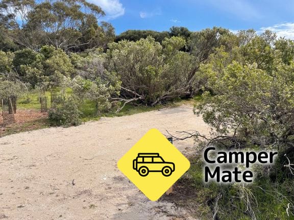 Antechamber Bay North Campgroundのレビュー