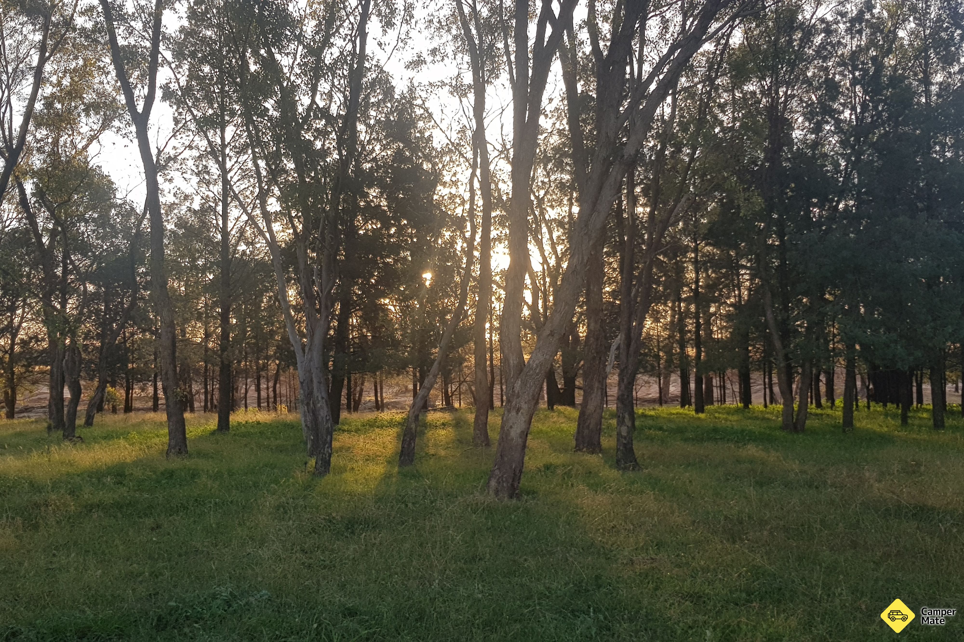 How's the Serenity Camping Ground - Image 2