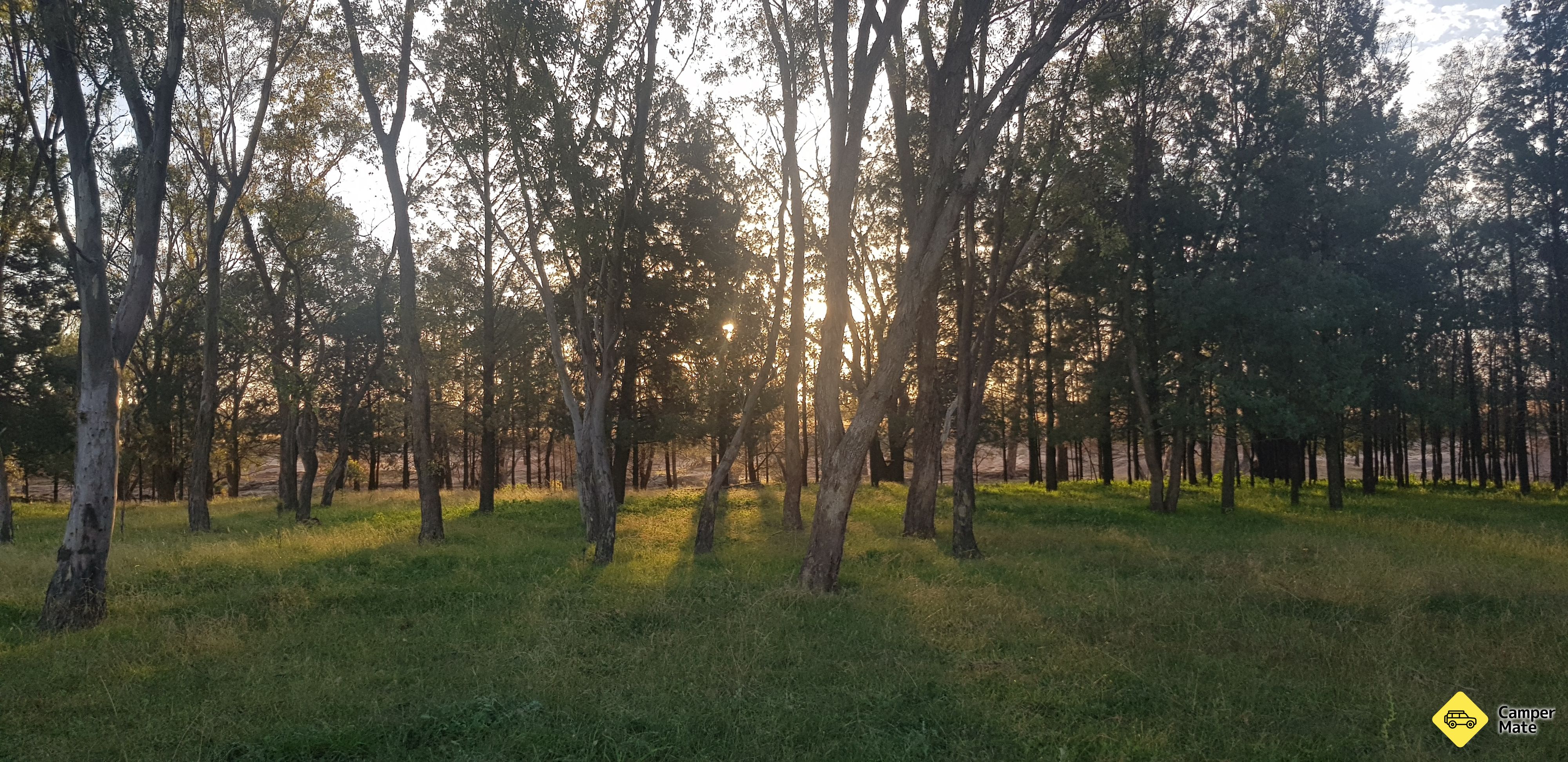 How's the Serenity Camping Ground - Image 2