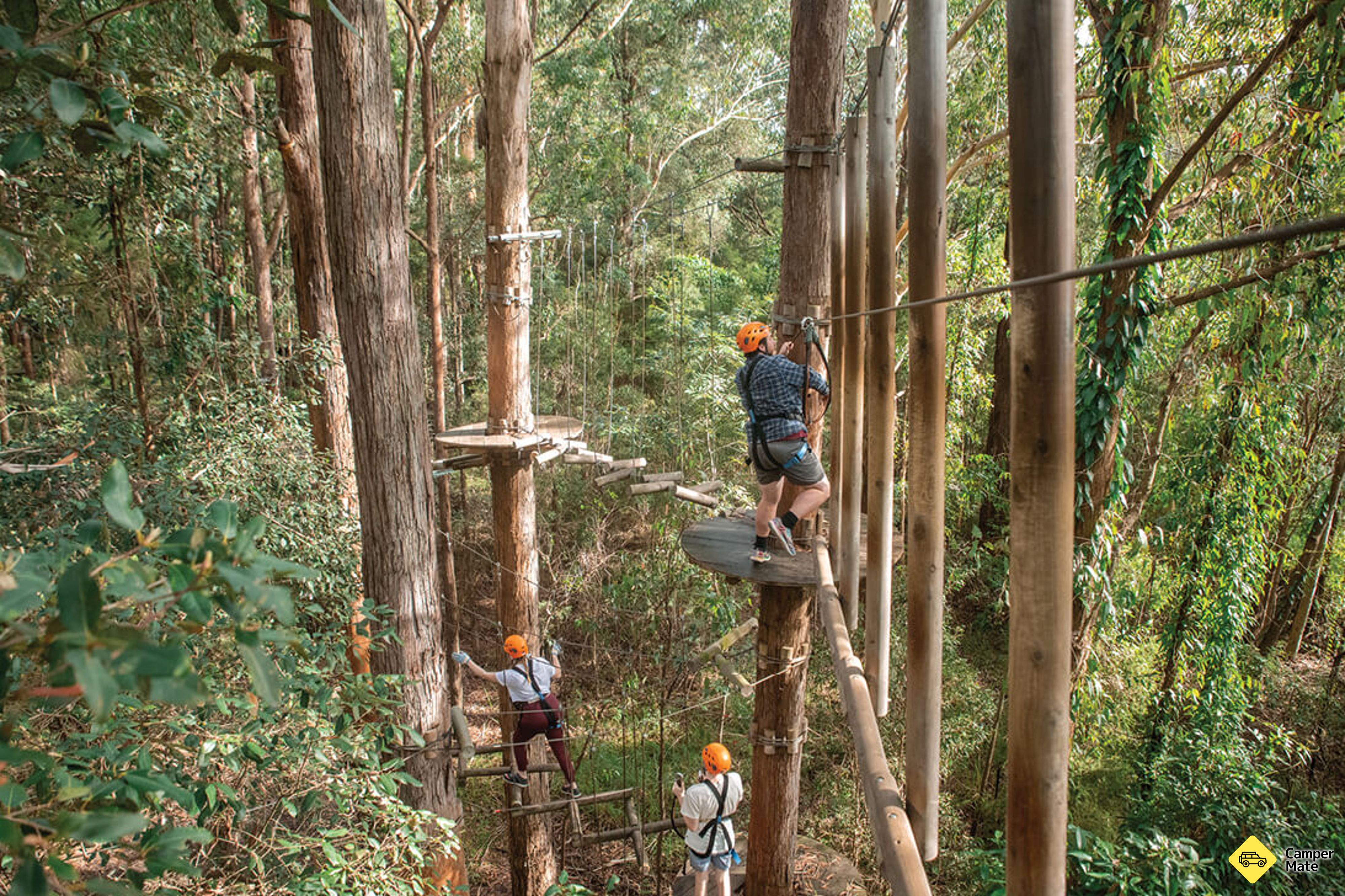 Aktivitäten in der Nähe von Treetops Adventure Central Coast - Image 3