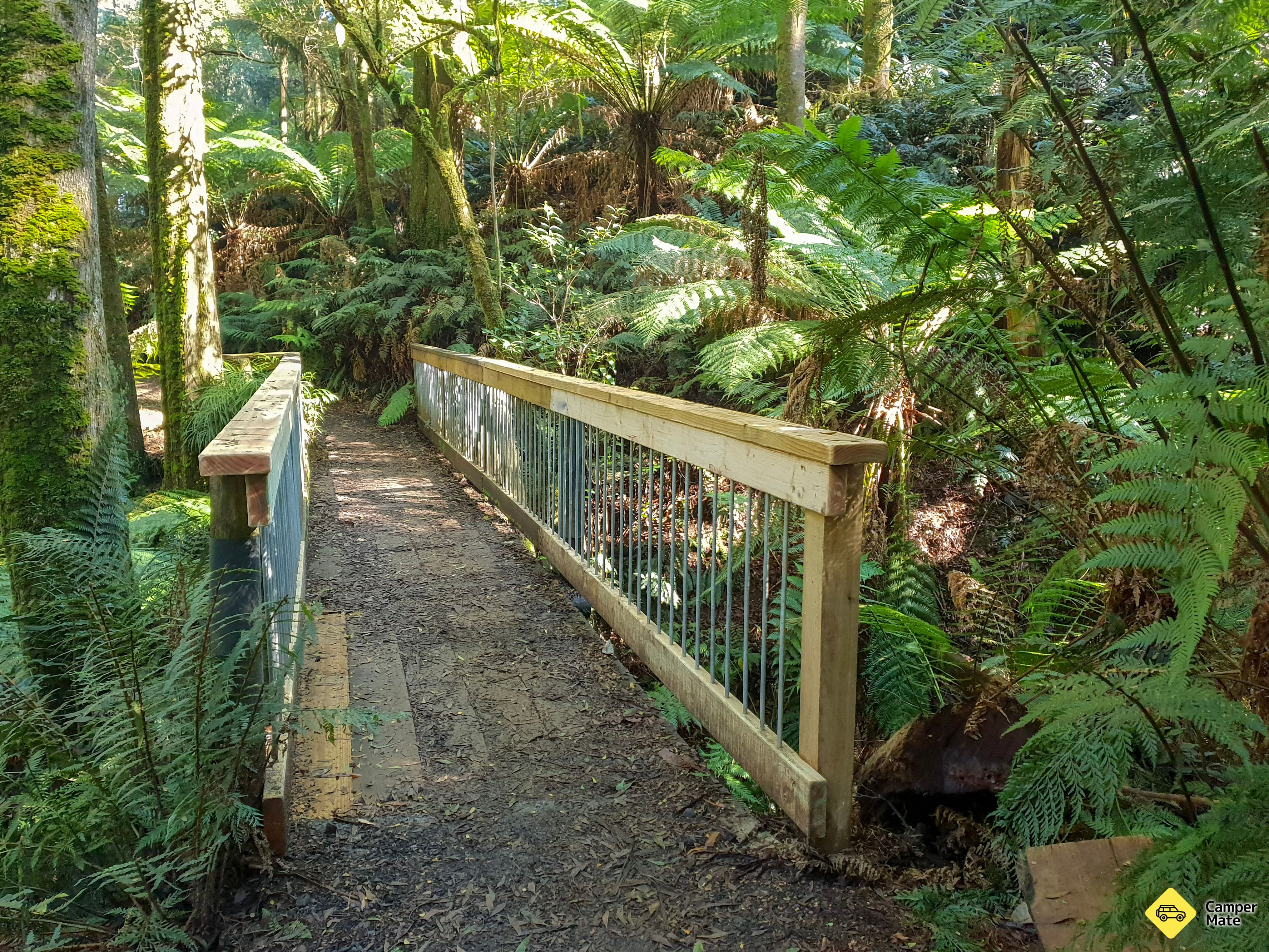 Melba Gully - Image 3