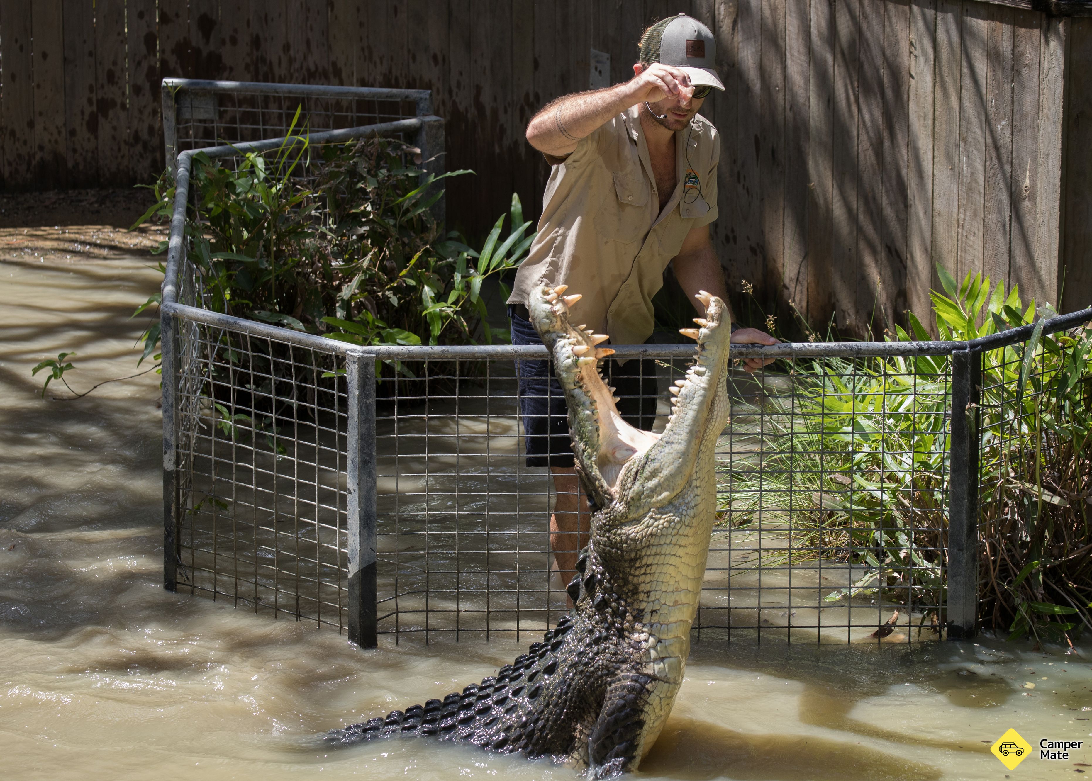 Hartley's Crocodile Adventures - Image 3