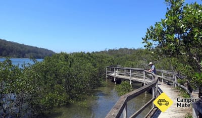 Cullendulla Track and Boardwalk