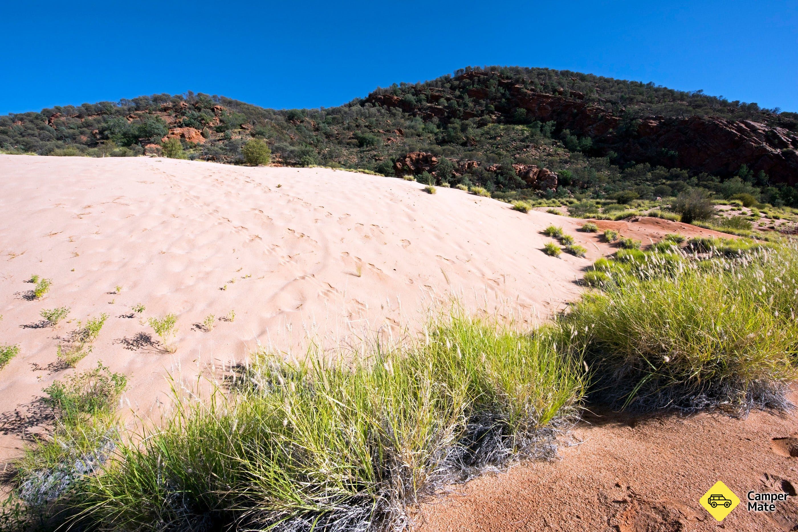Climbing Dune Jesse Emily Gap - Image 2