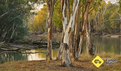 Wooloondool Campground