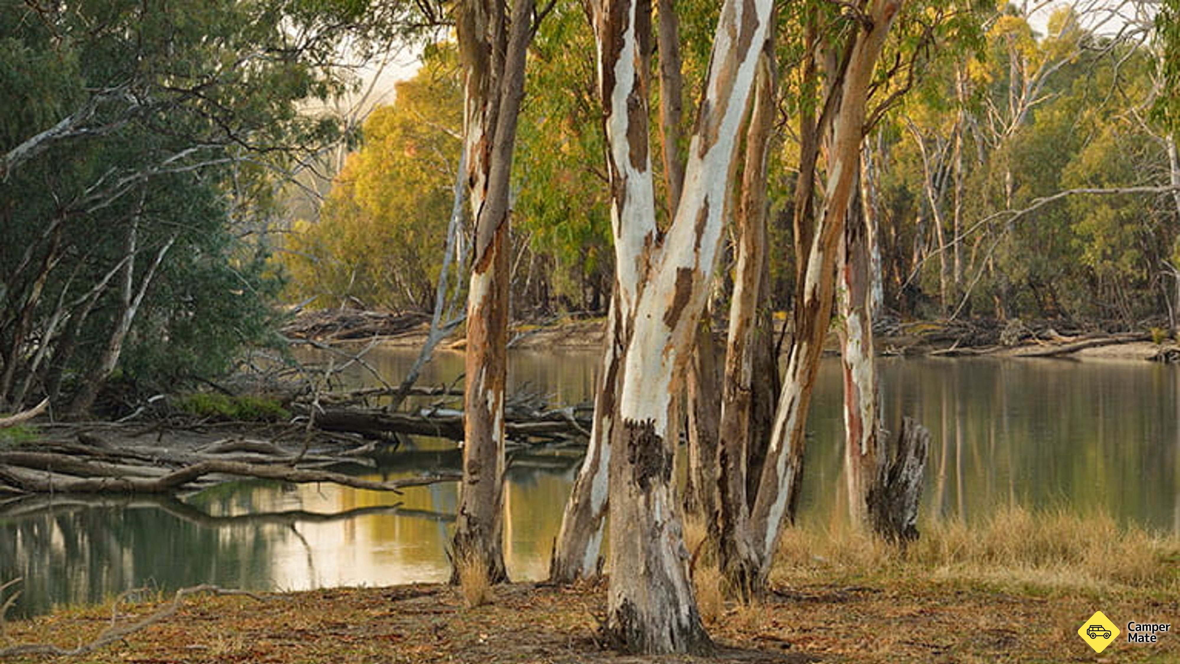 Wooloondool Campground