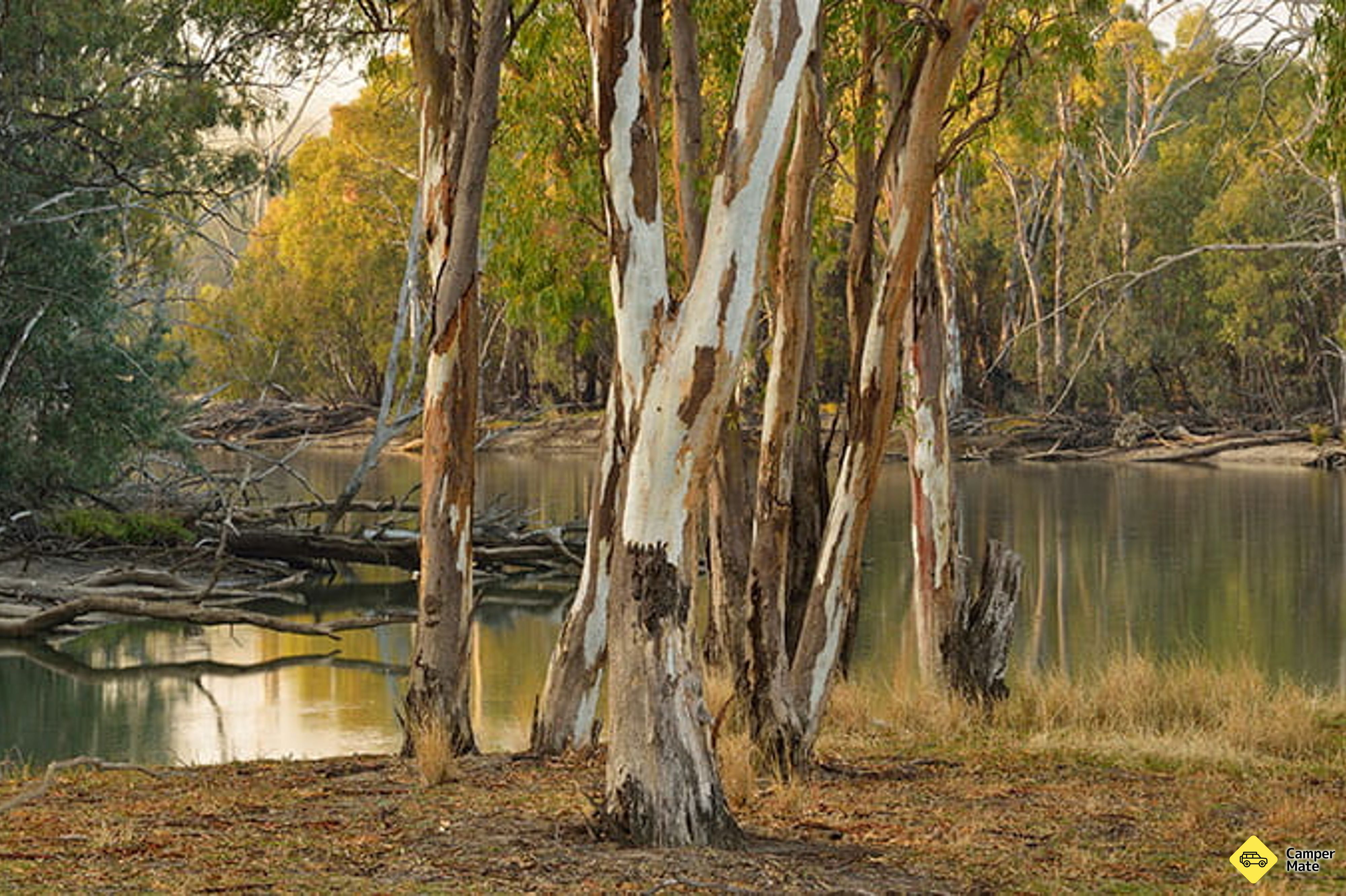 Wooloondool Campground