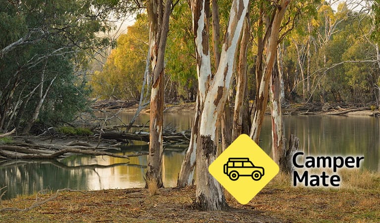 Wooloondool Campground