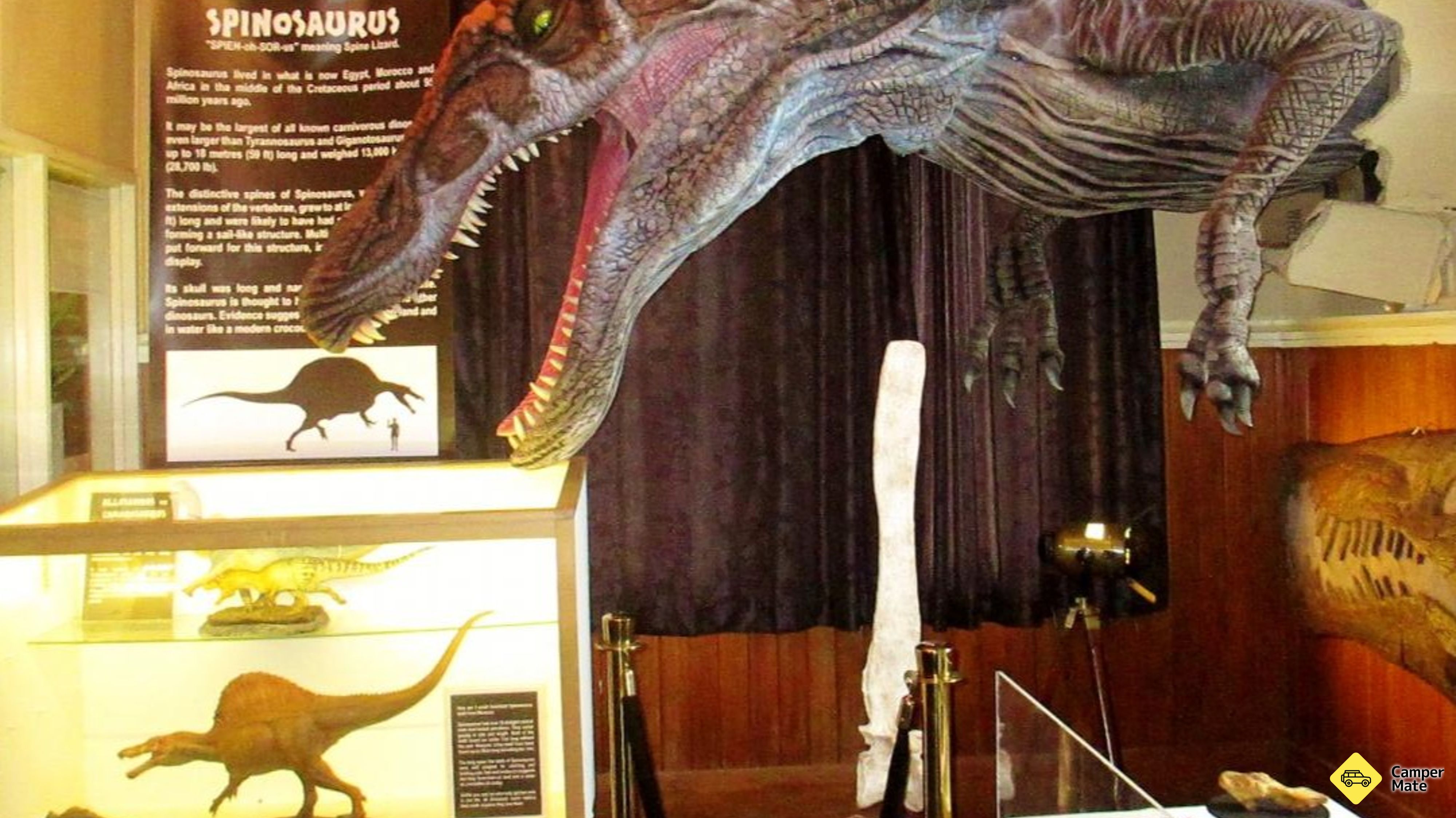 Rumah Dinosaurus