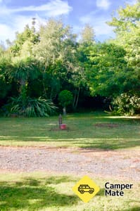 Backyard Oasis Driveway