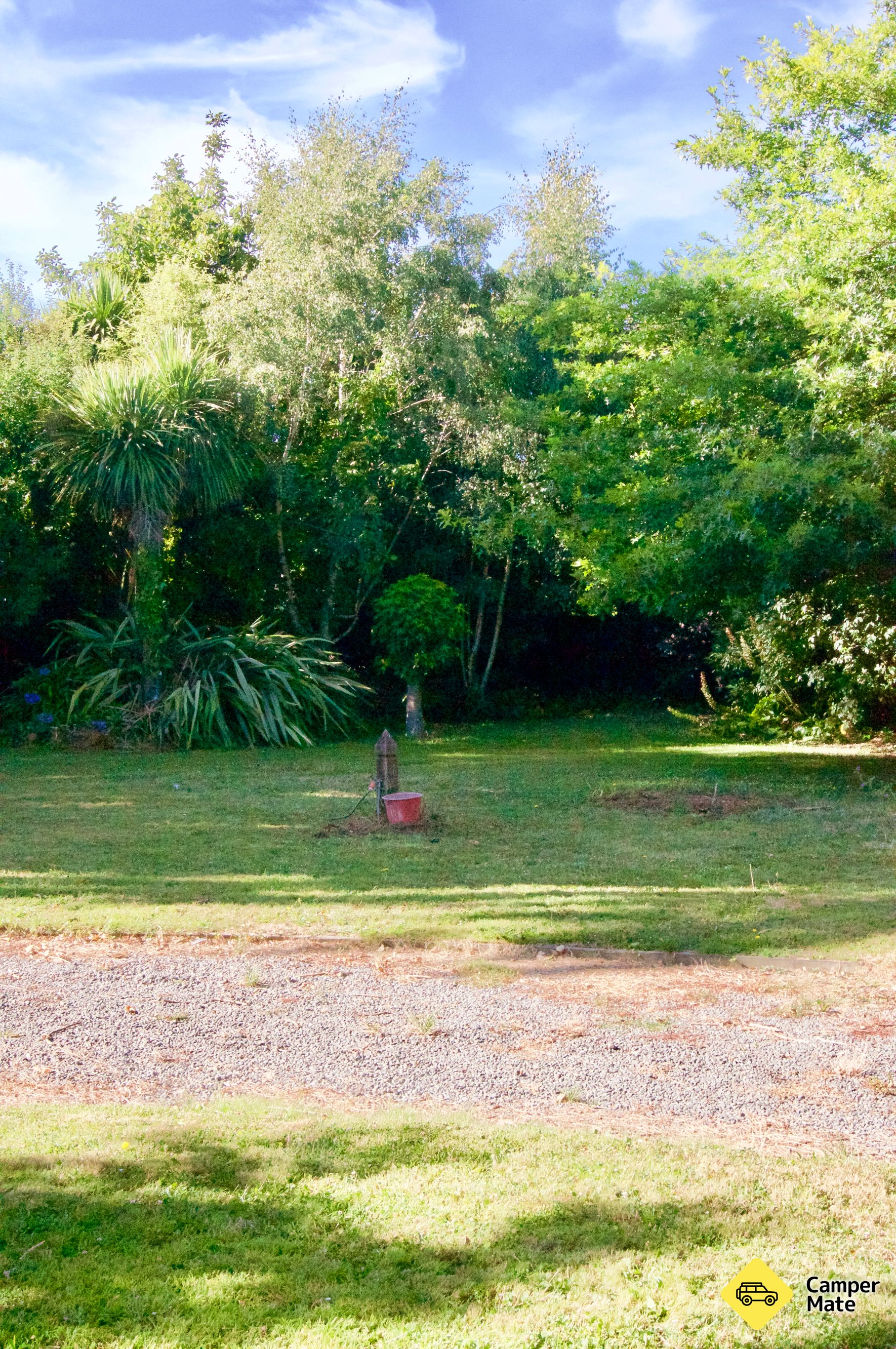 Backyard Oasis Driveway