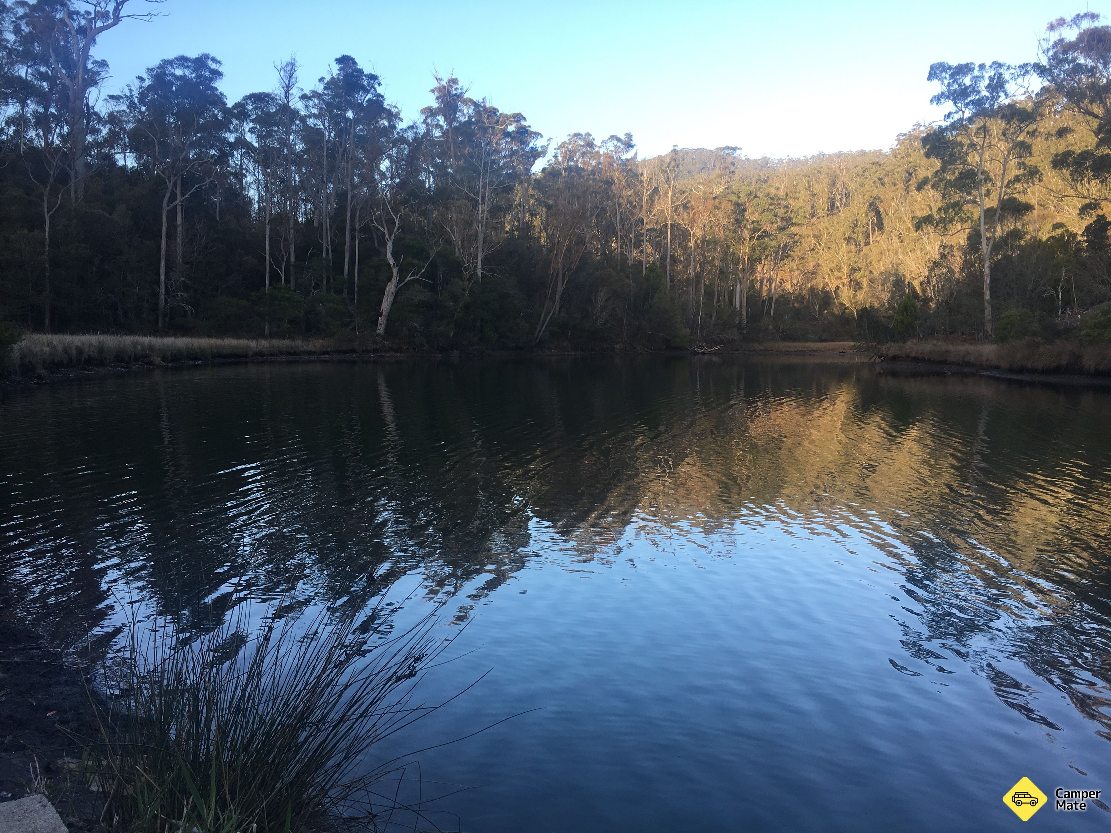 Hotéis em Trout Creek - Scamander Forest Reserve - Image 2
