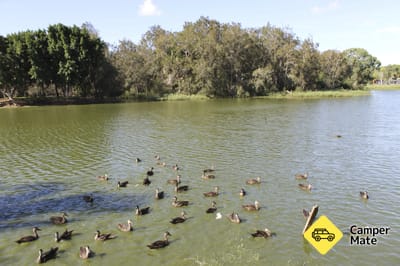 Plage de Moore Park