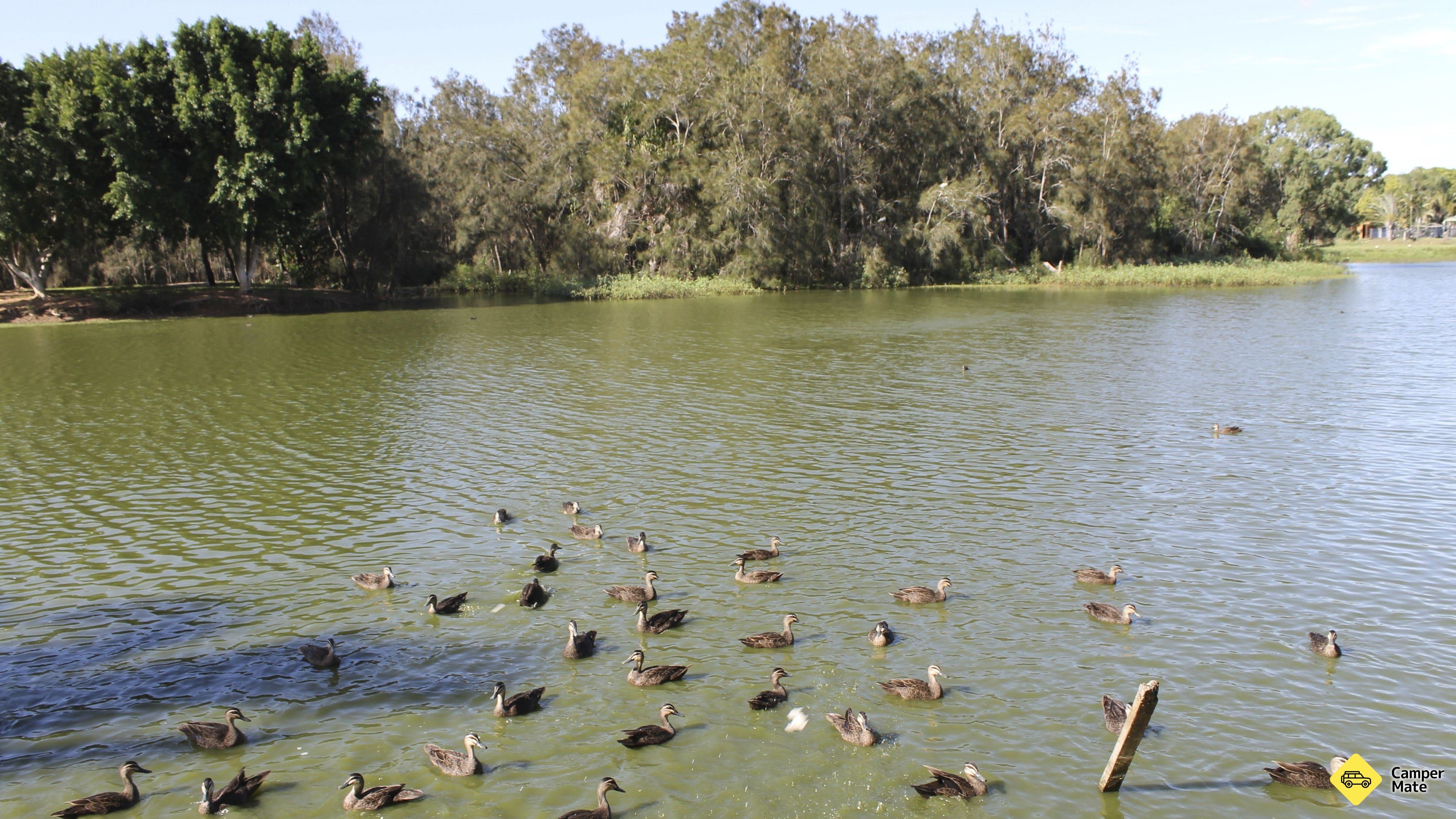 Plage de Moore Park